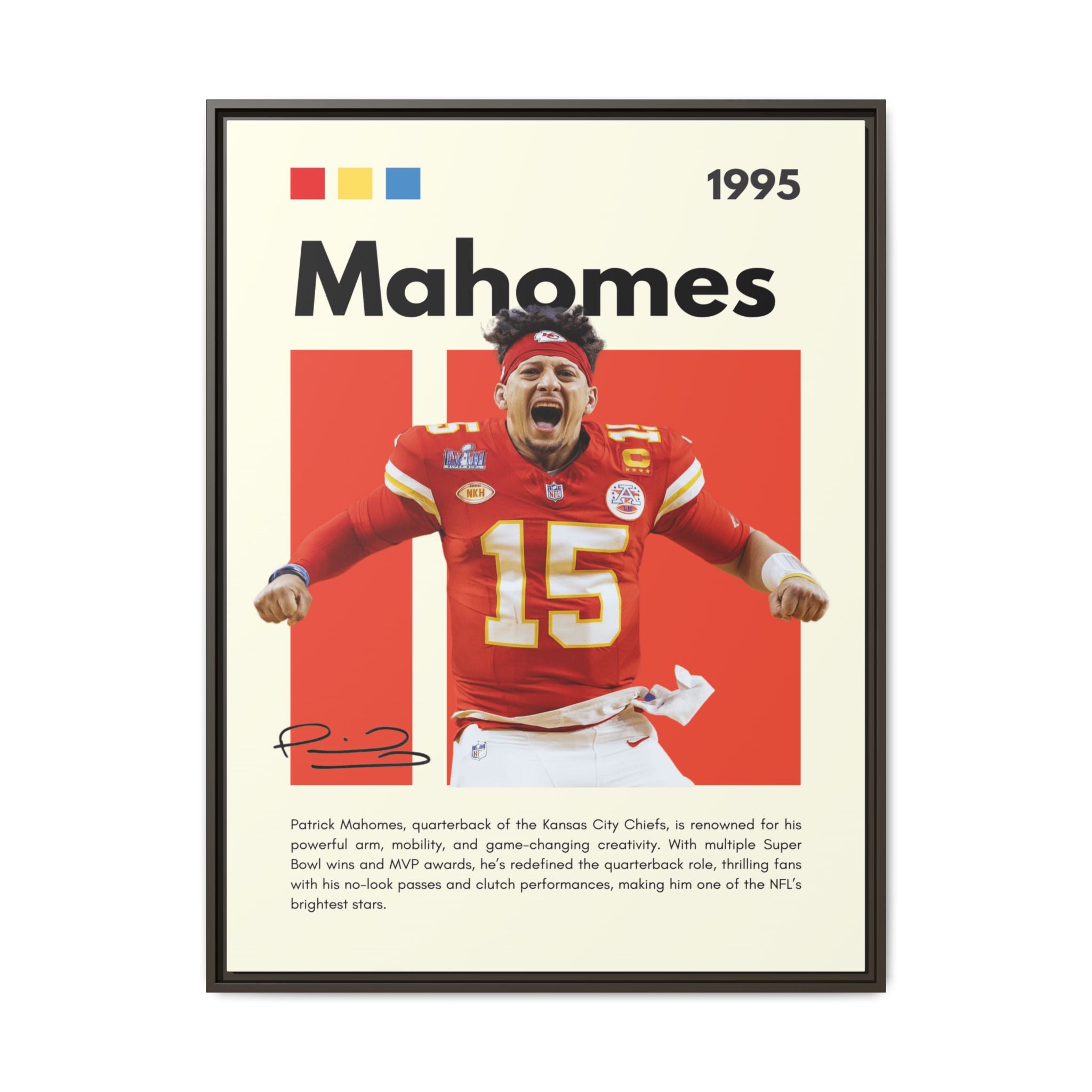 Touchdown Triumph - Canvas Wall Art