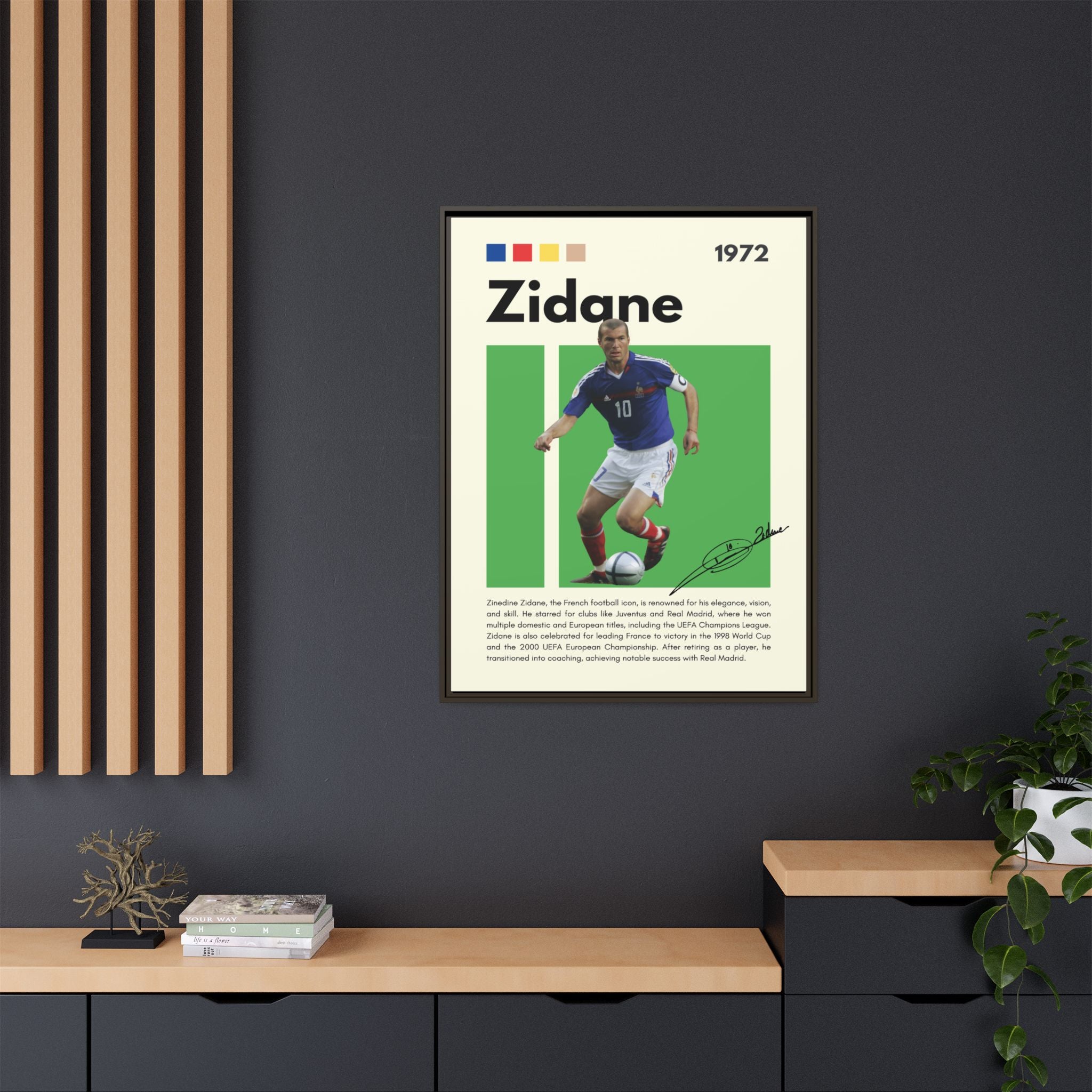 Zidane - Canvas Wall Art