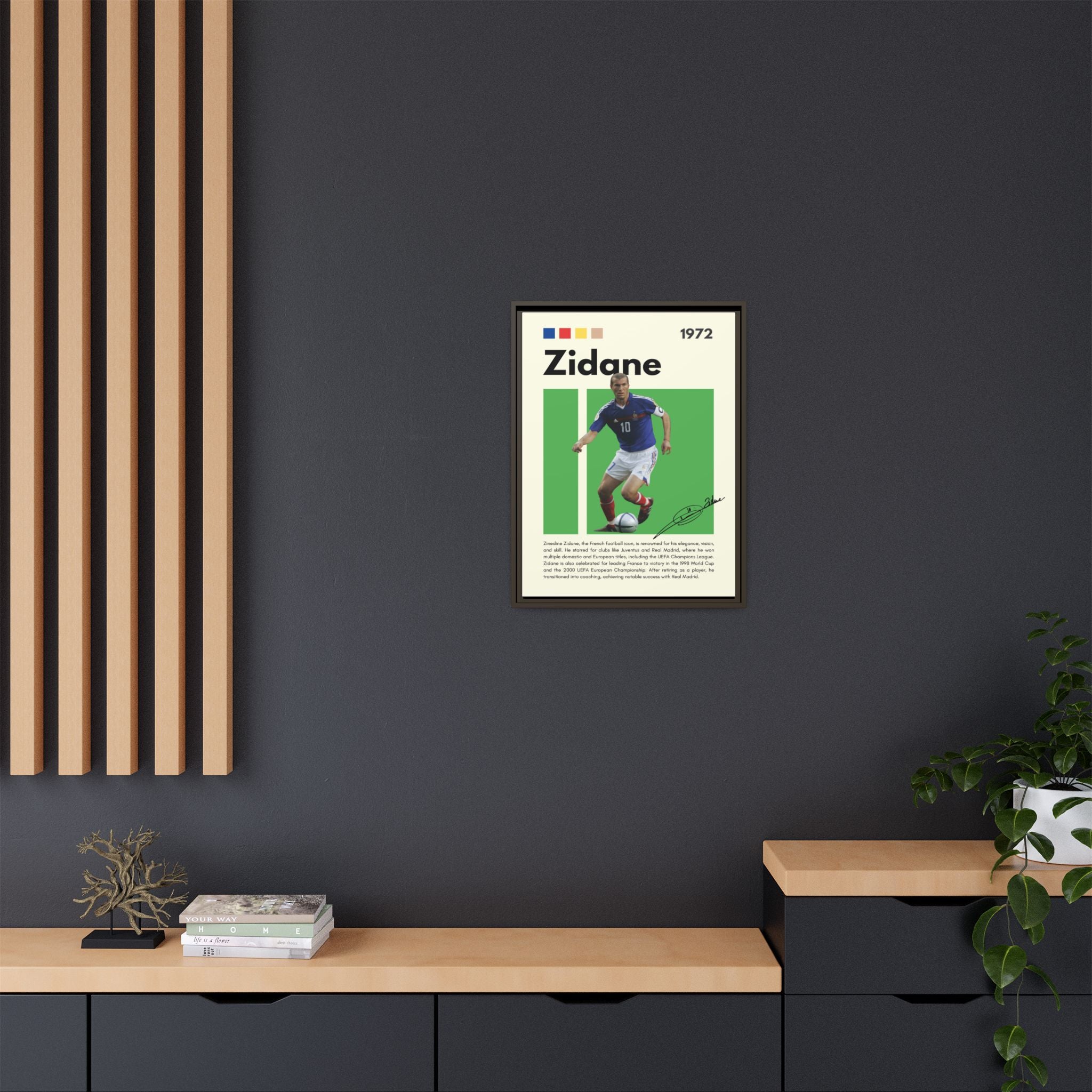 Zidane - Canvas Wall Art