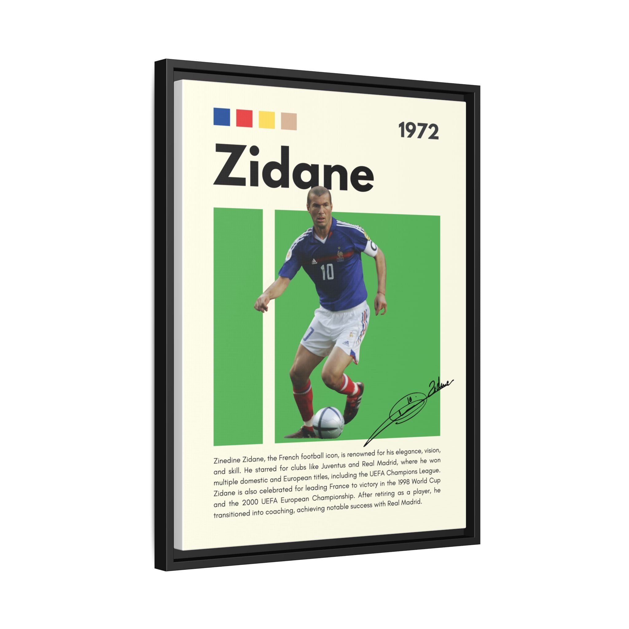 Zidane - Canvas Wall Art