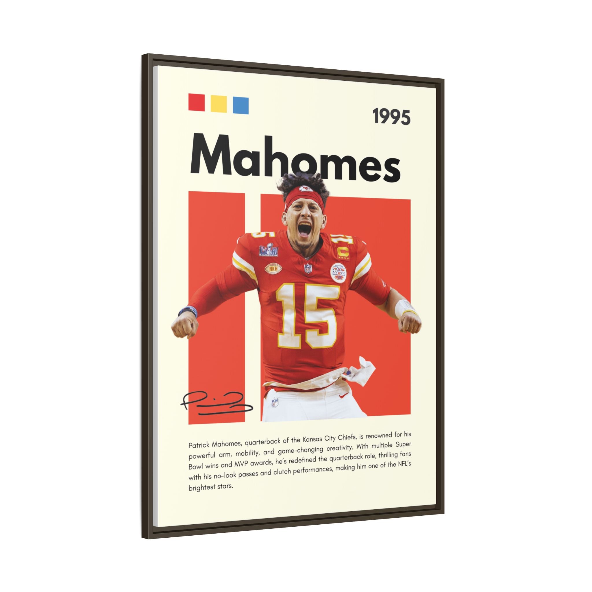 Touchdown Triumph - Canvas Wall Art