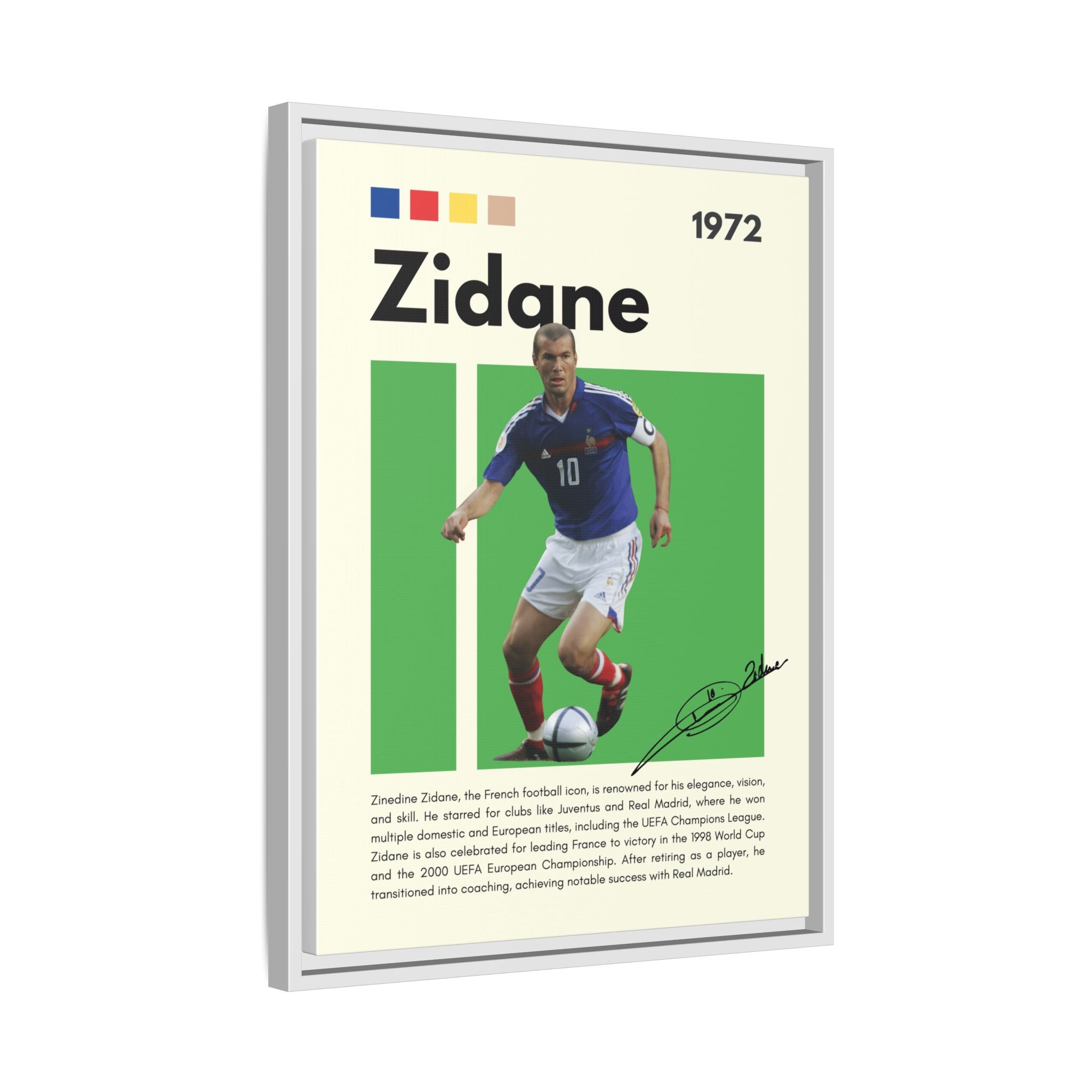 Zidane - Canvas Wall Art