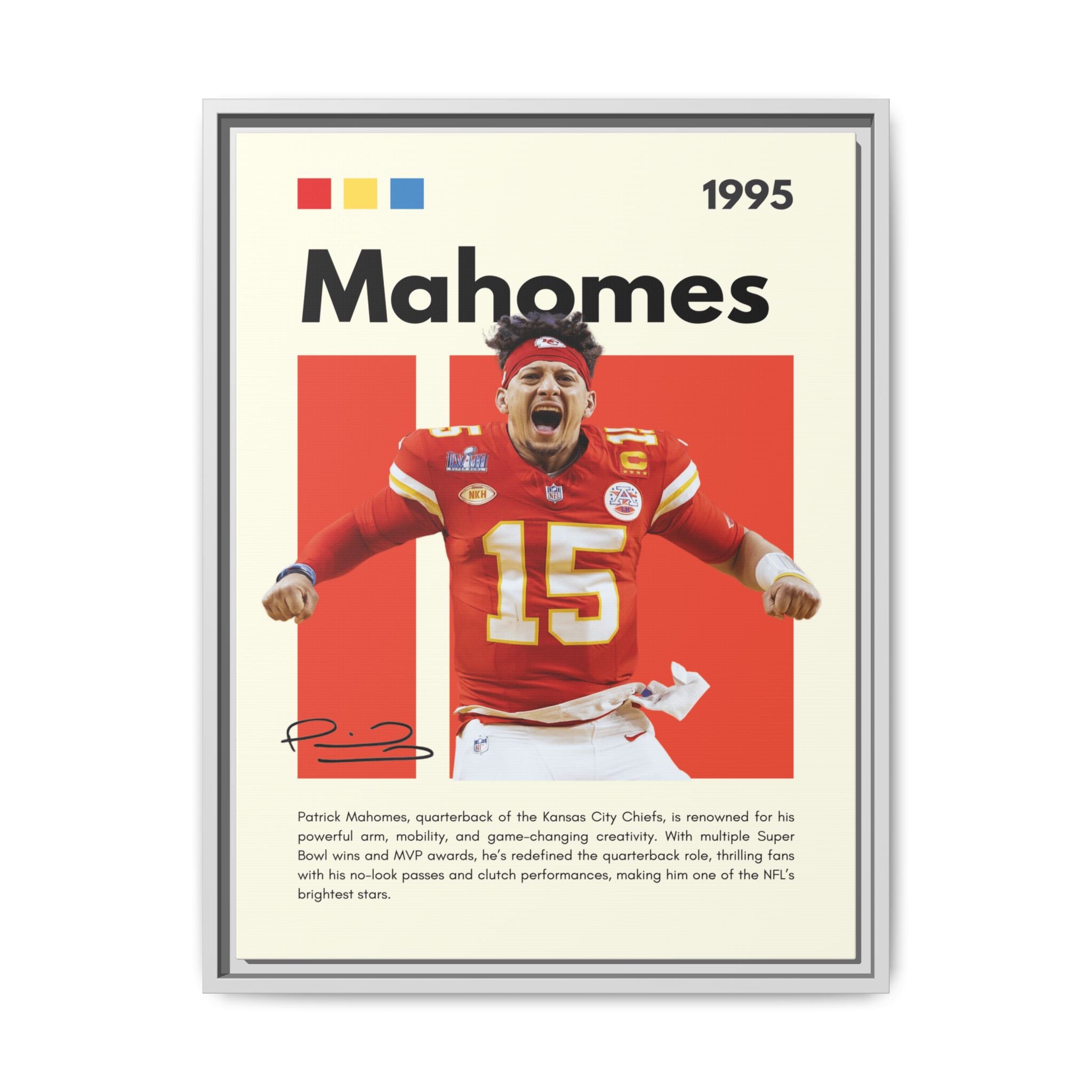 Touchdown Triumph - Canvas Wall Art