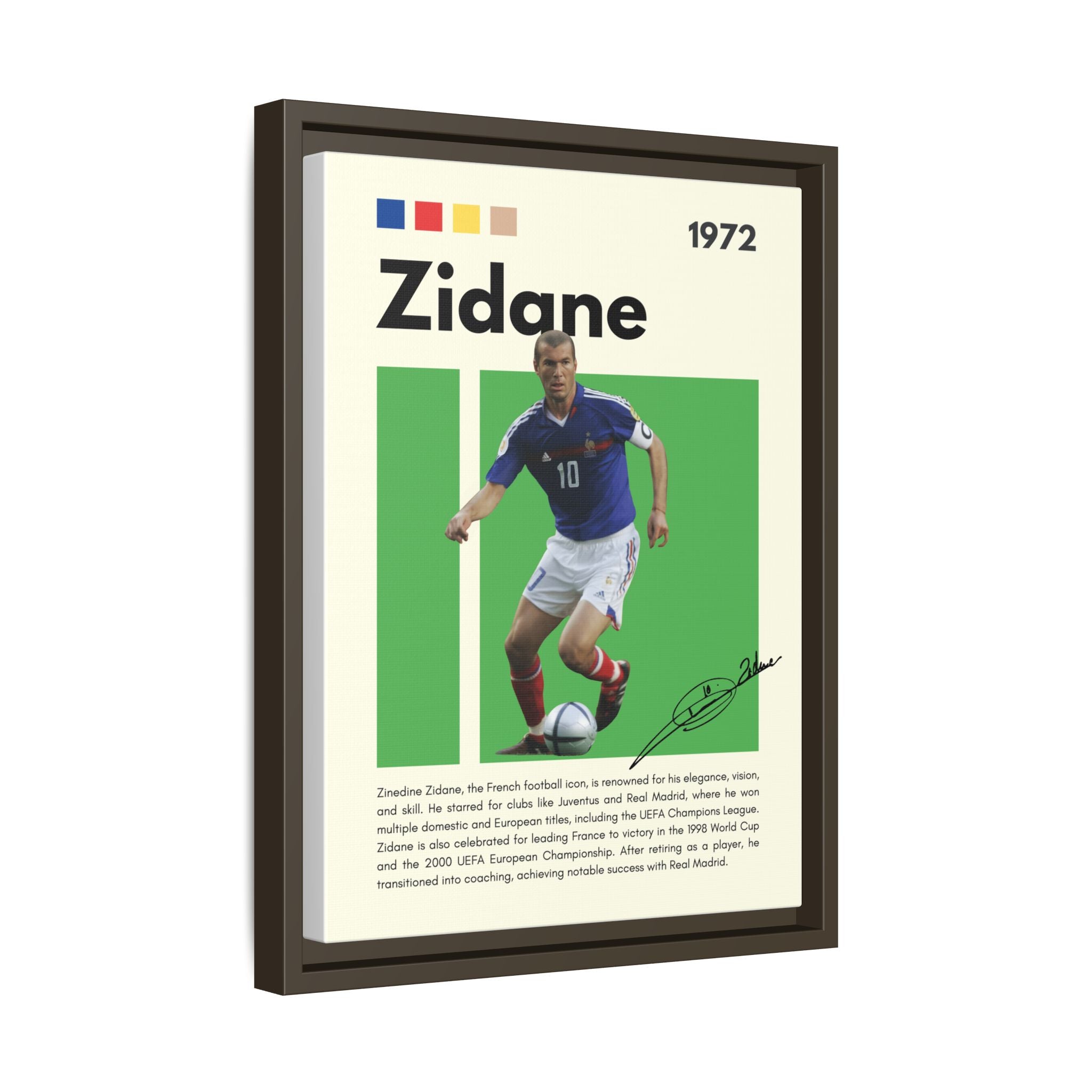 Zidane - Canvas Wall Art
