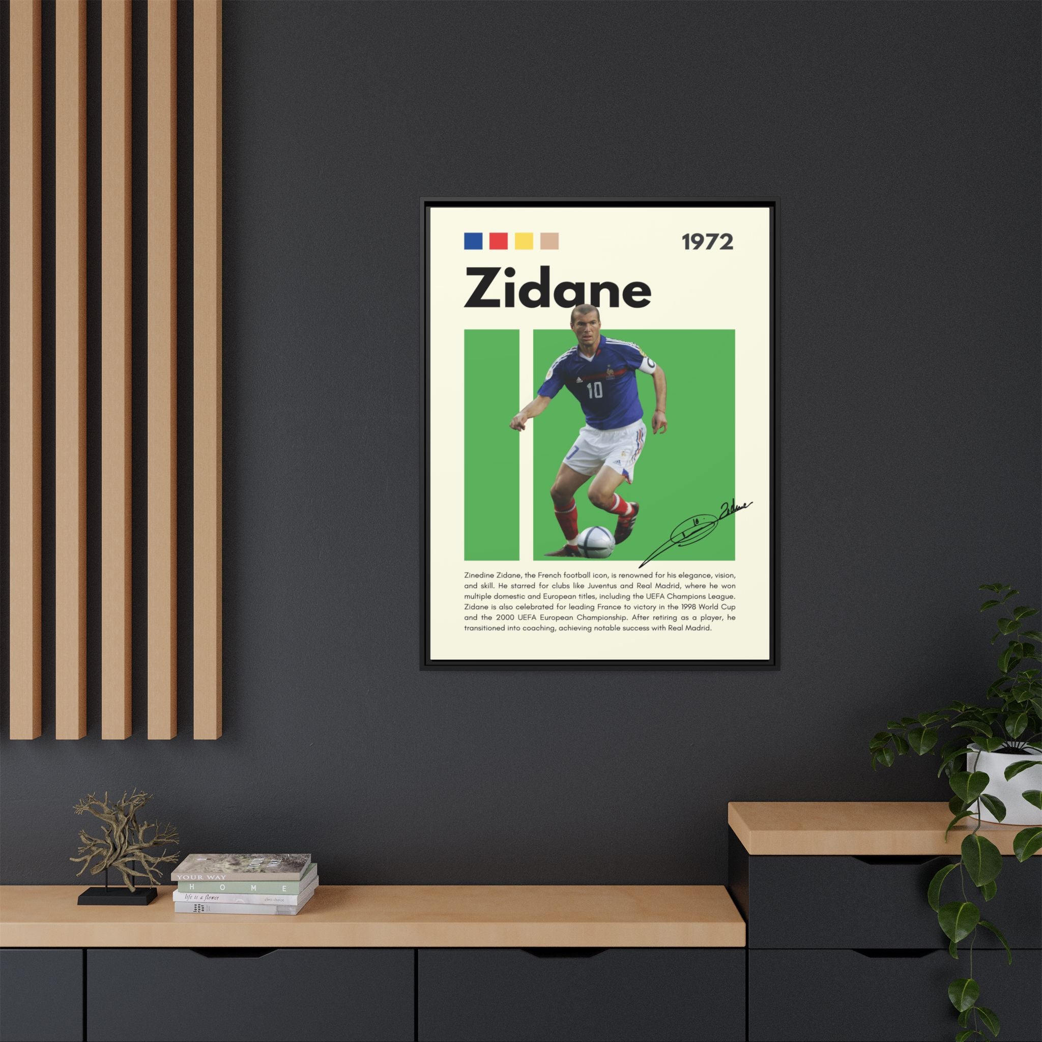 Zidane - Canvas Wall Art