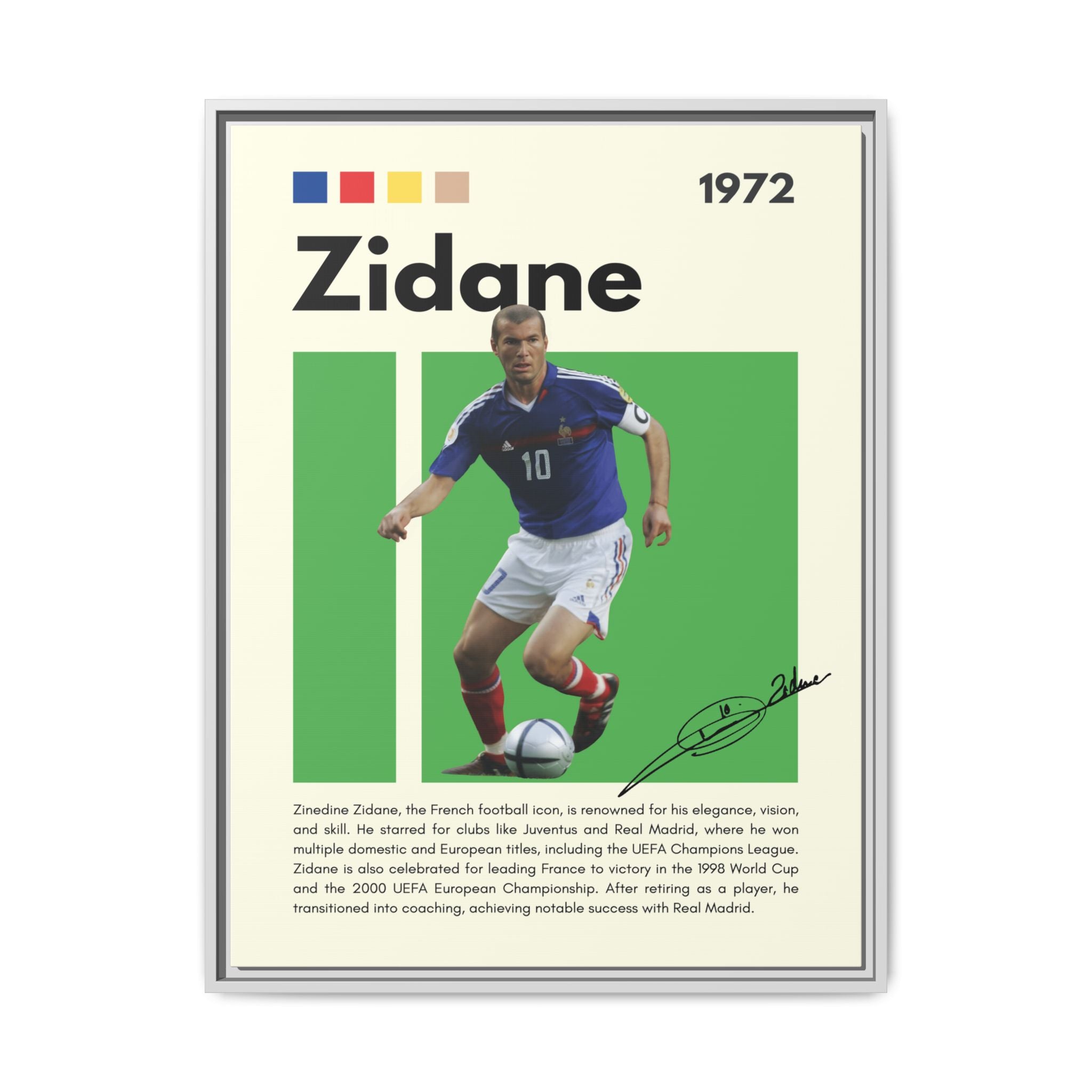 Zidane - Canvas Wall Art