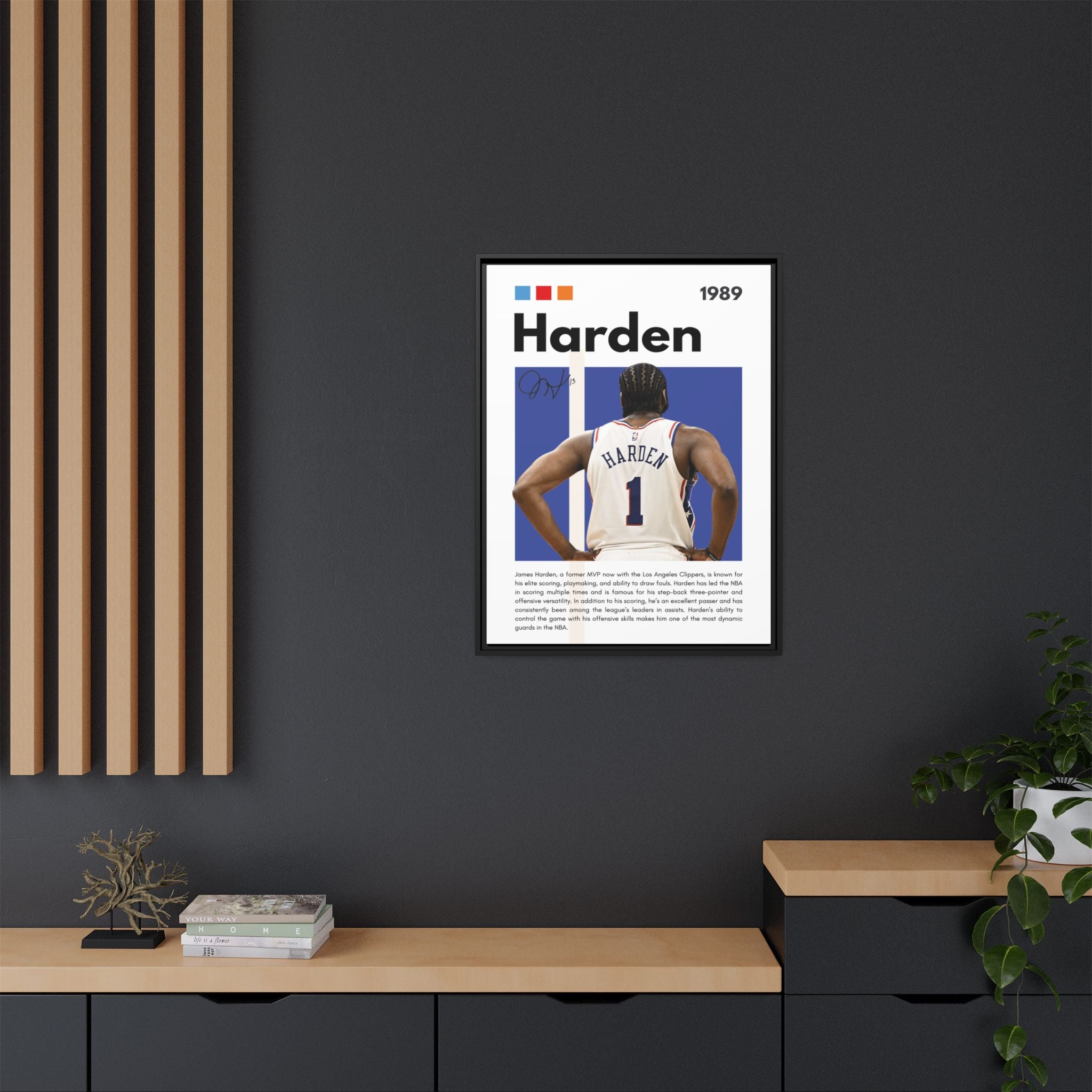 Harden's Stride - Canvas Wall Art
