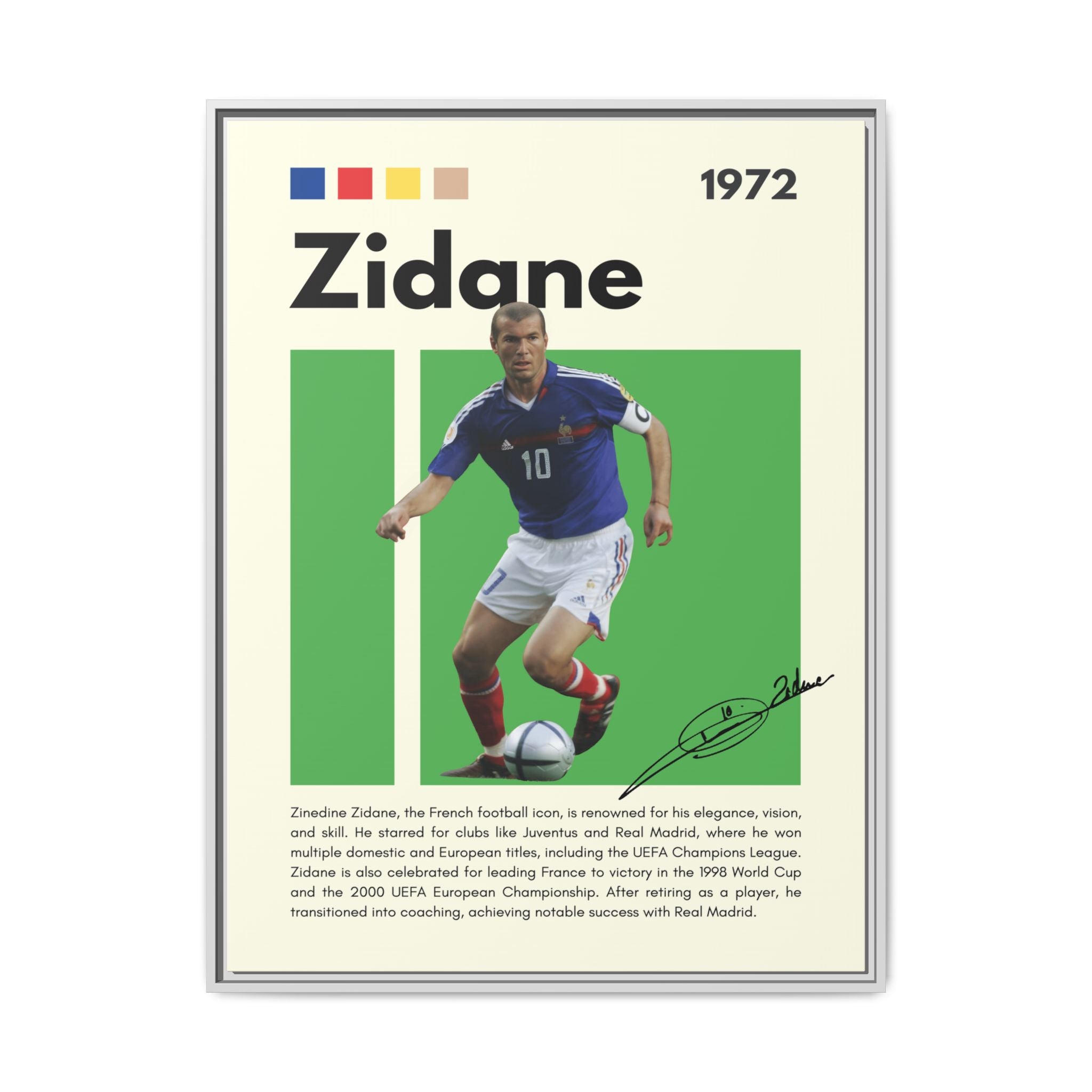 Zidane - Canvas Wall Art