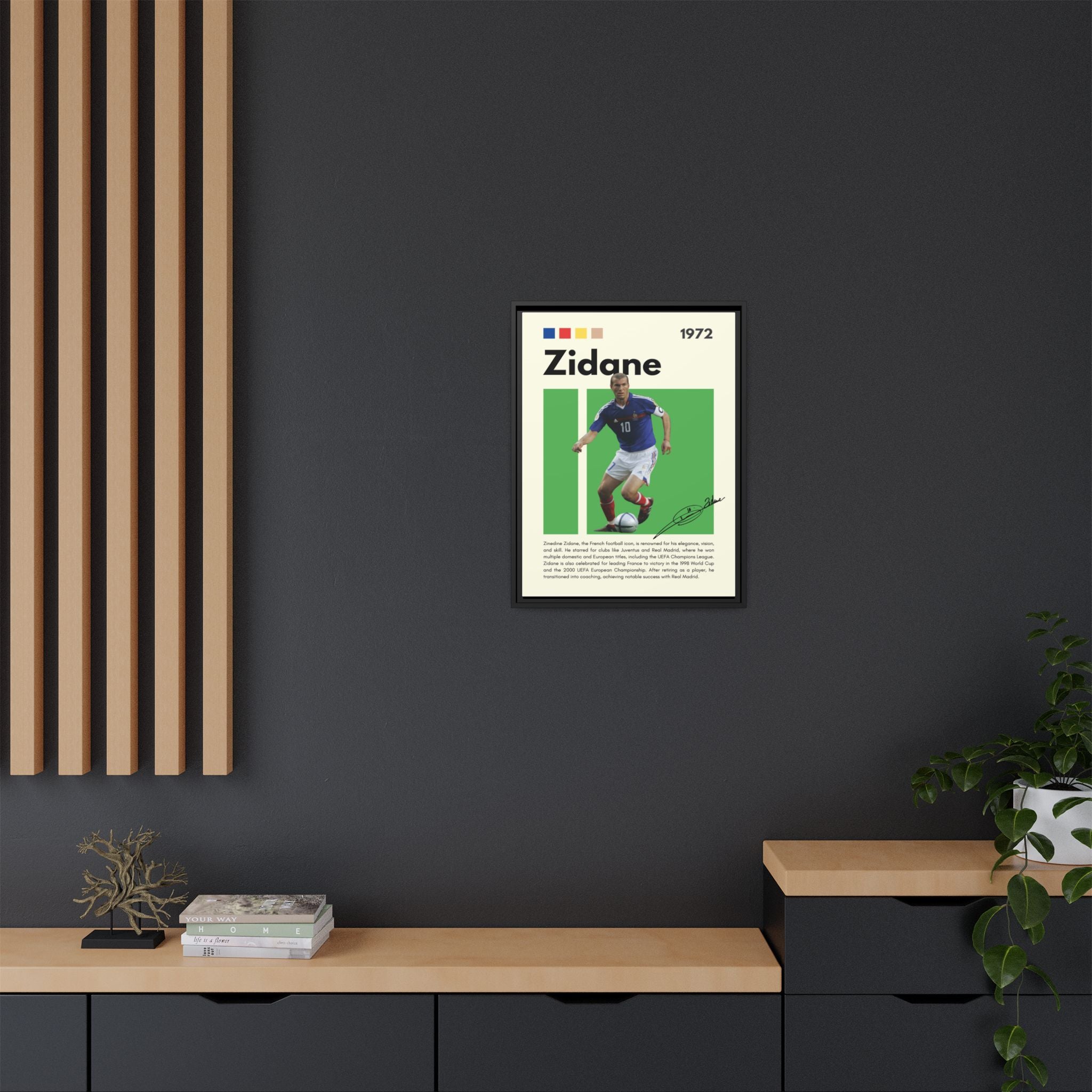 Zidane - Canvas Wall Art