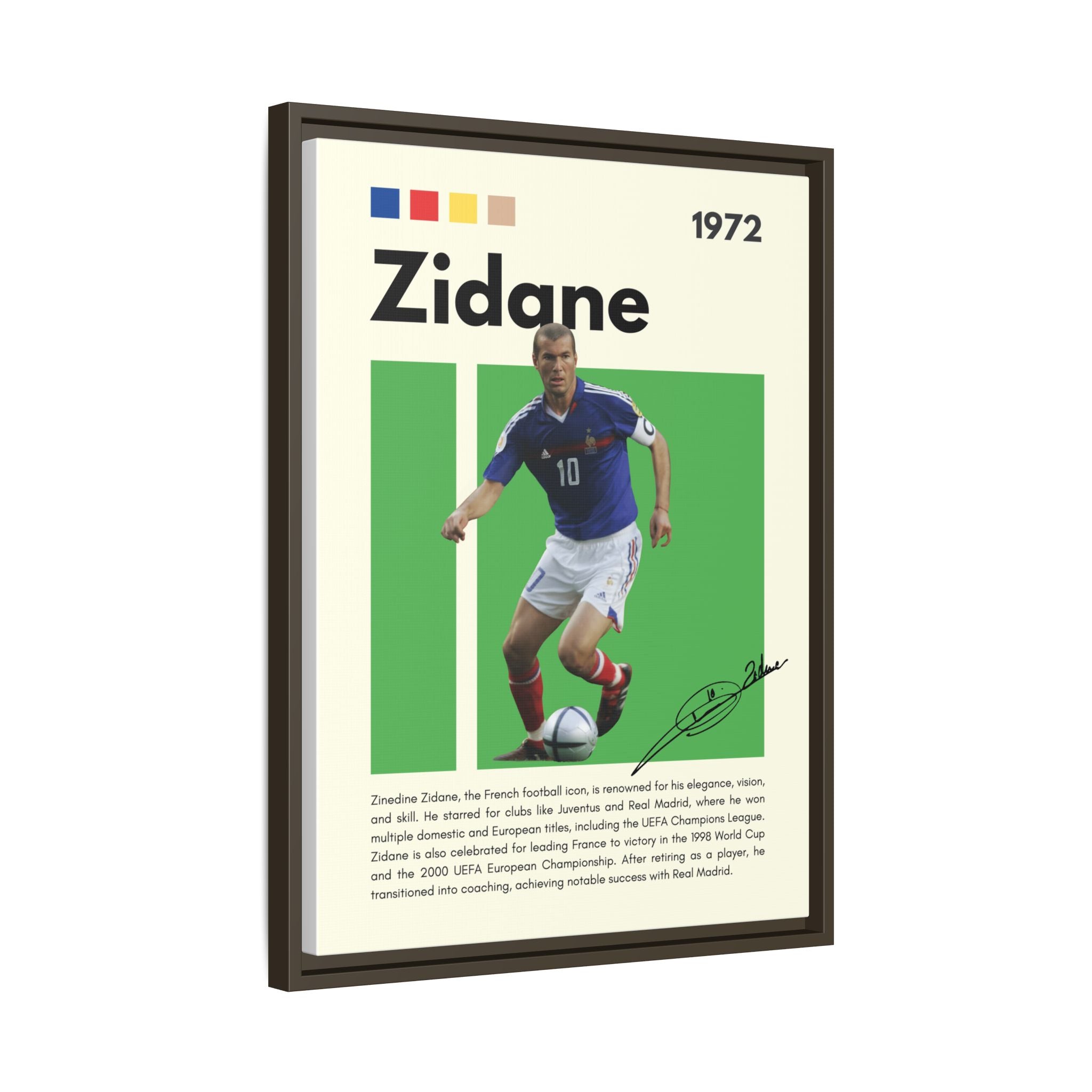 Zidane - Canvas Wall Art