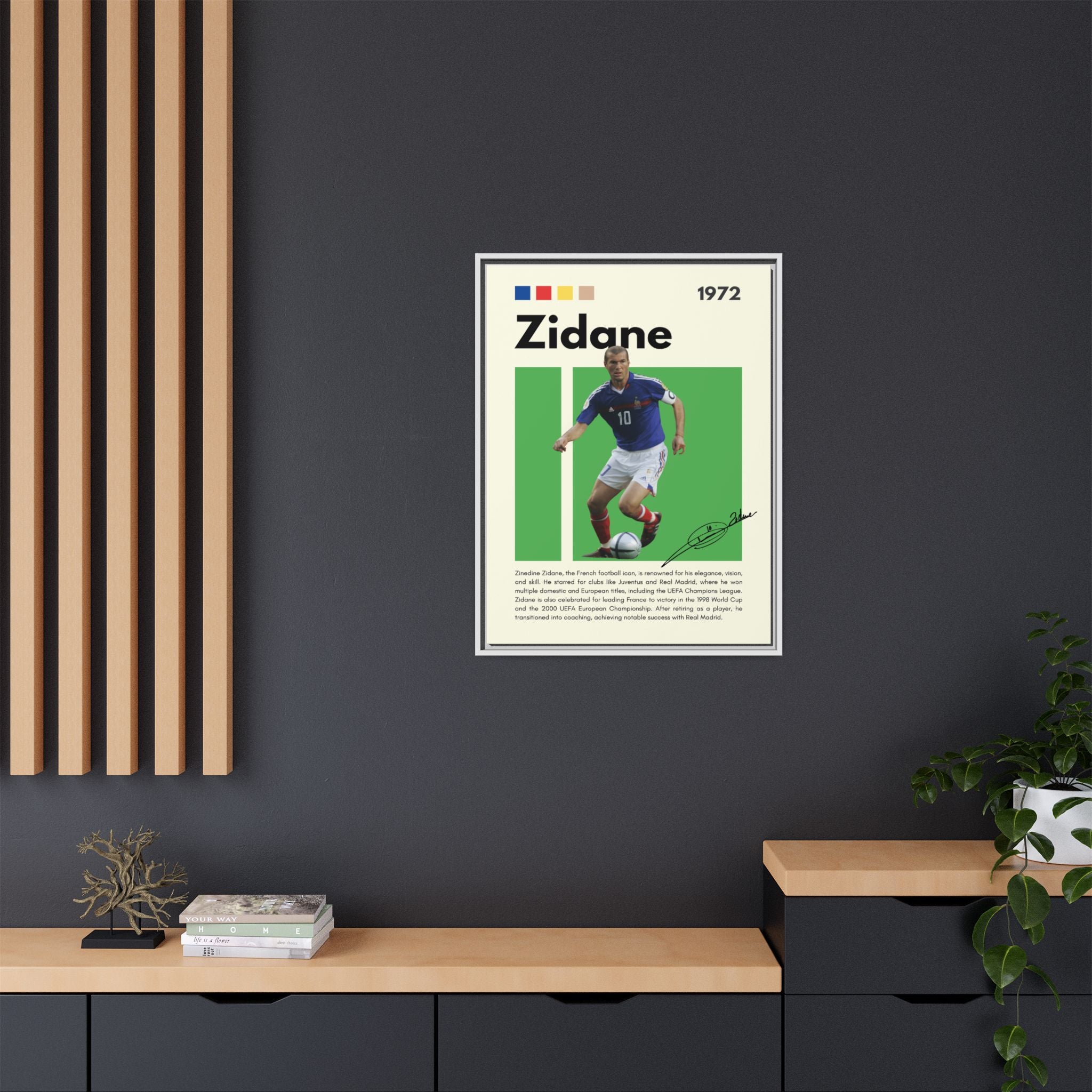 Zidane - Canvas Wall Art