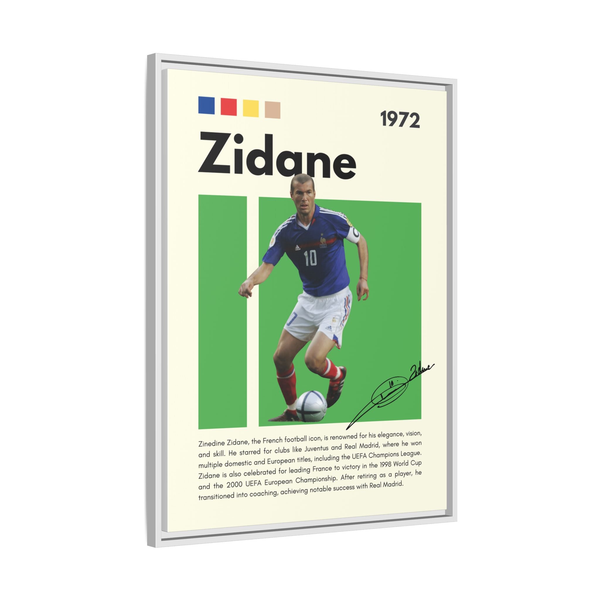 Zidane - Canvas Wall Art
