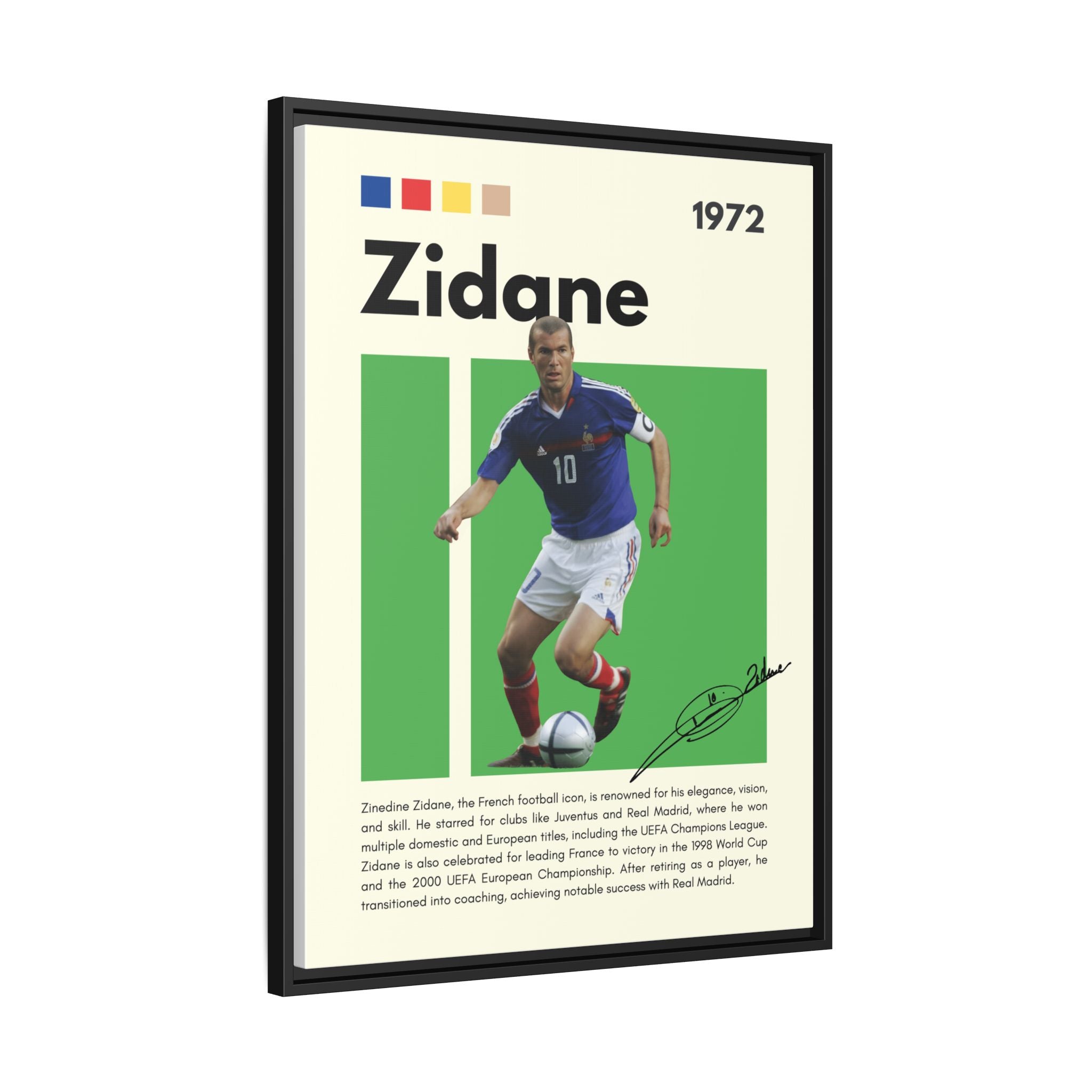 Zidane - Canvas Wall Art