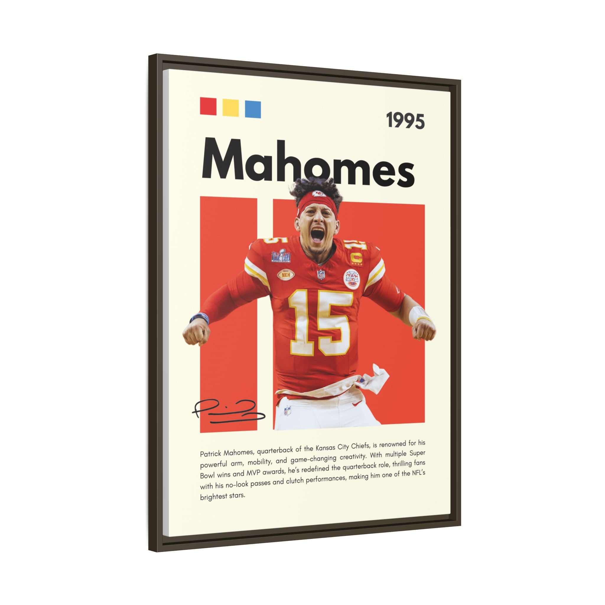 Touchdown Triumph - Canvas Wall Art