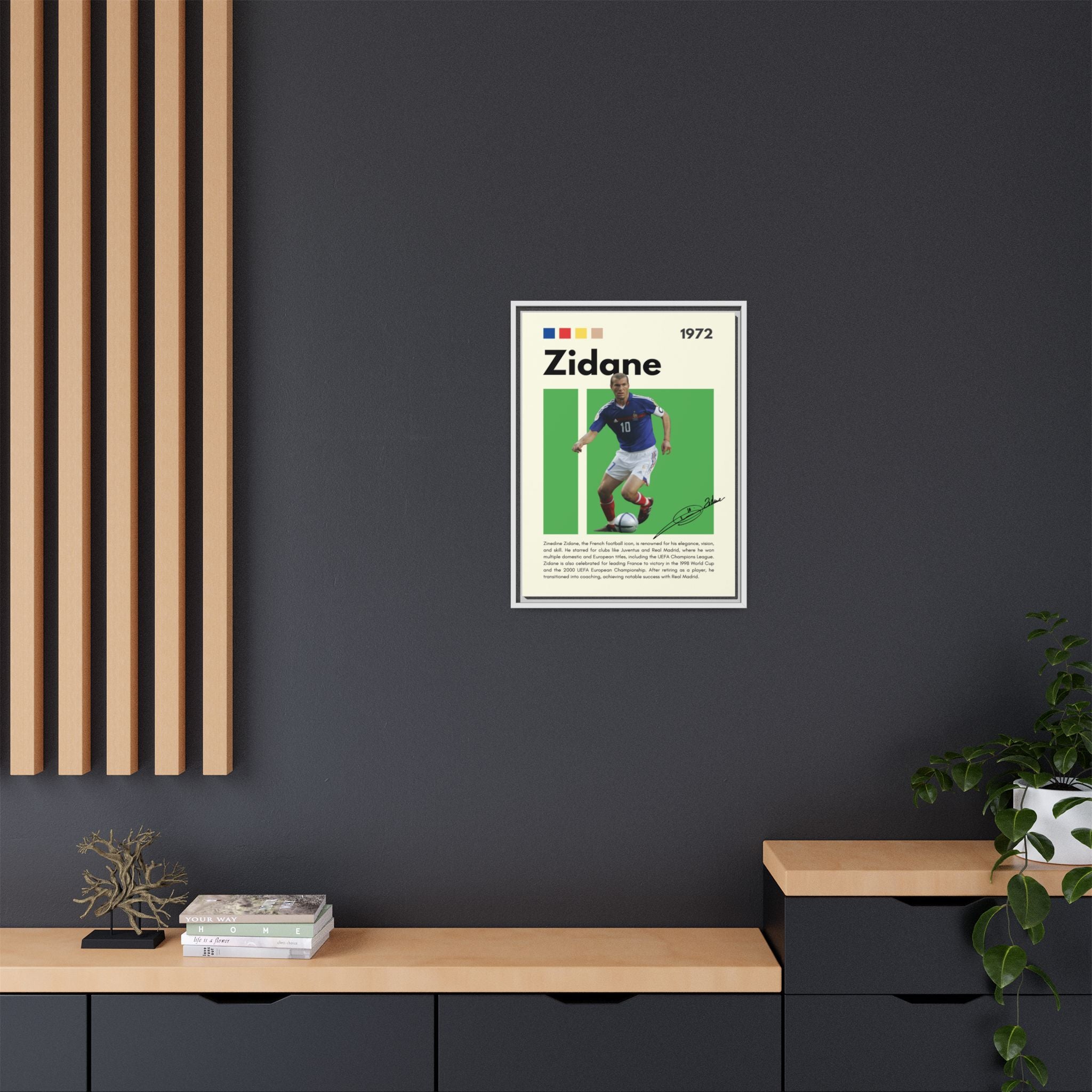 Zidane - Canvas Wall Art