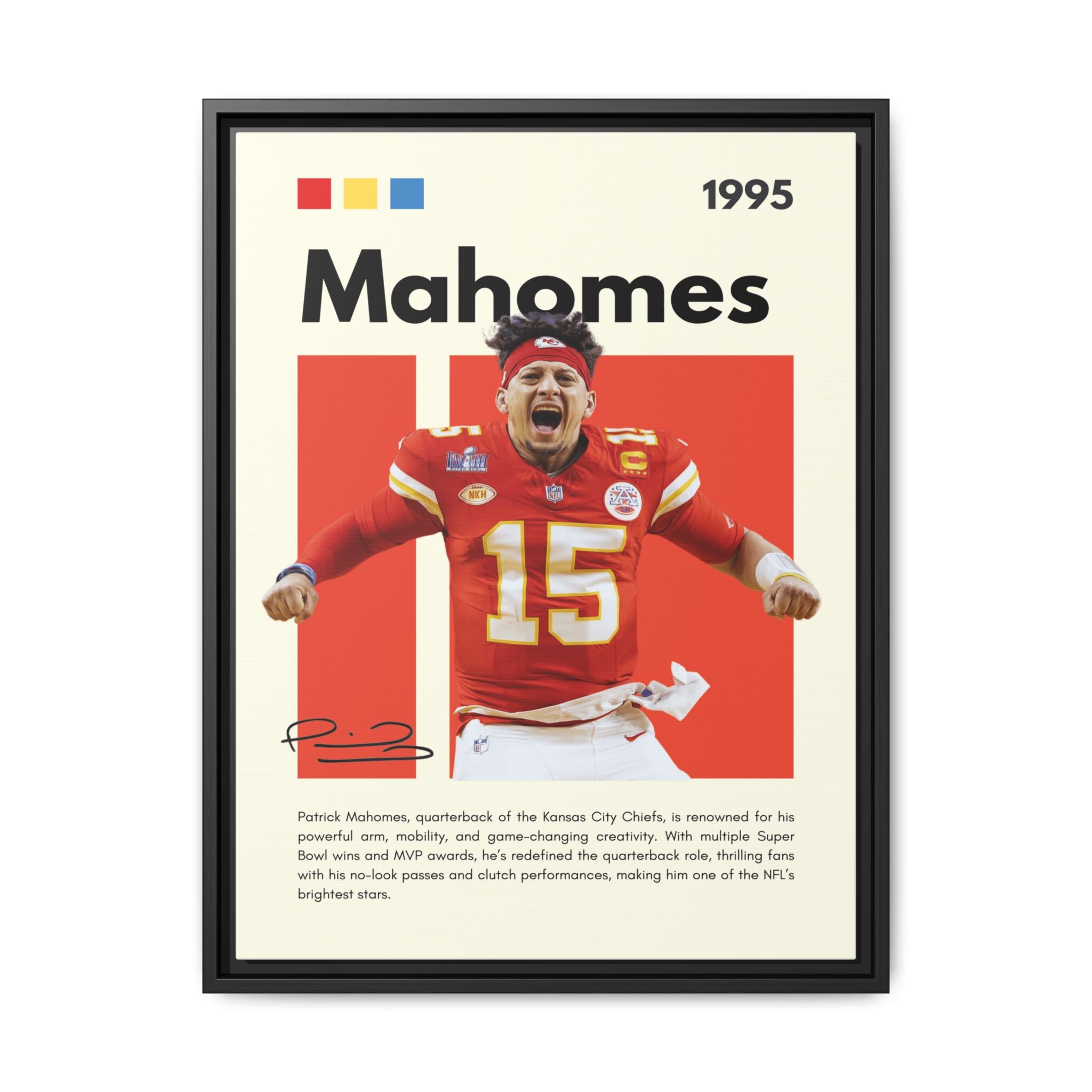 Touchdown Triumph - Canvas Wall Art