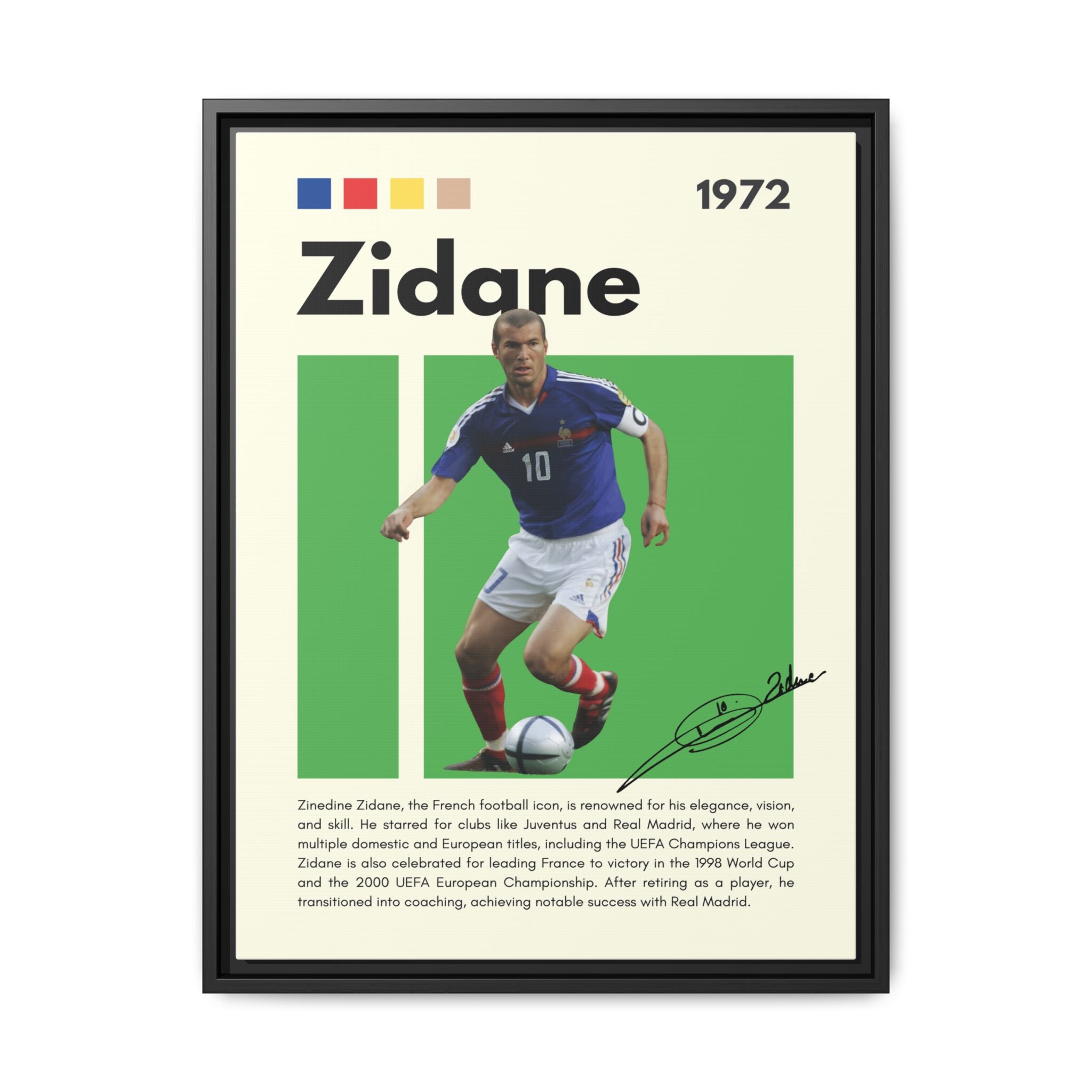 Zidane - Canvas Wall Art