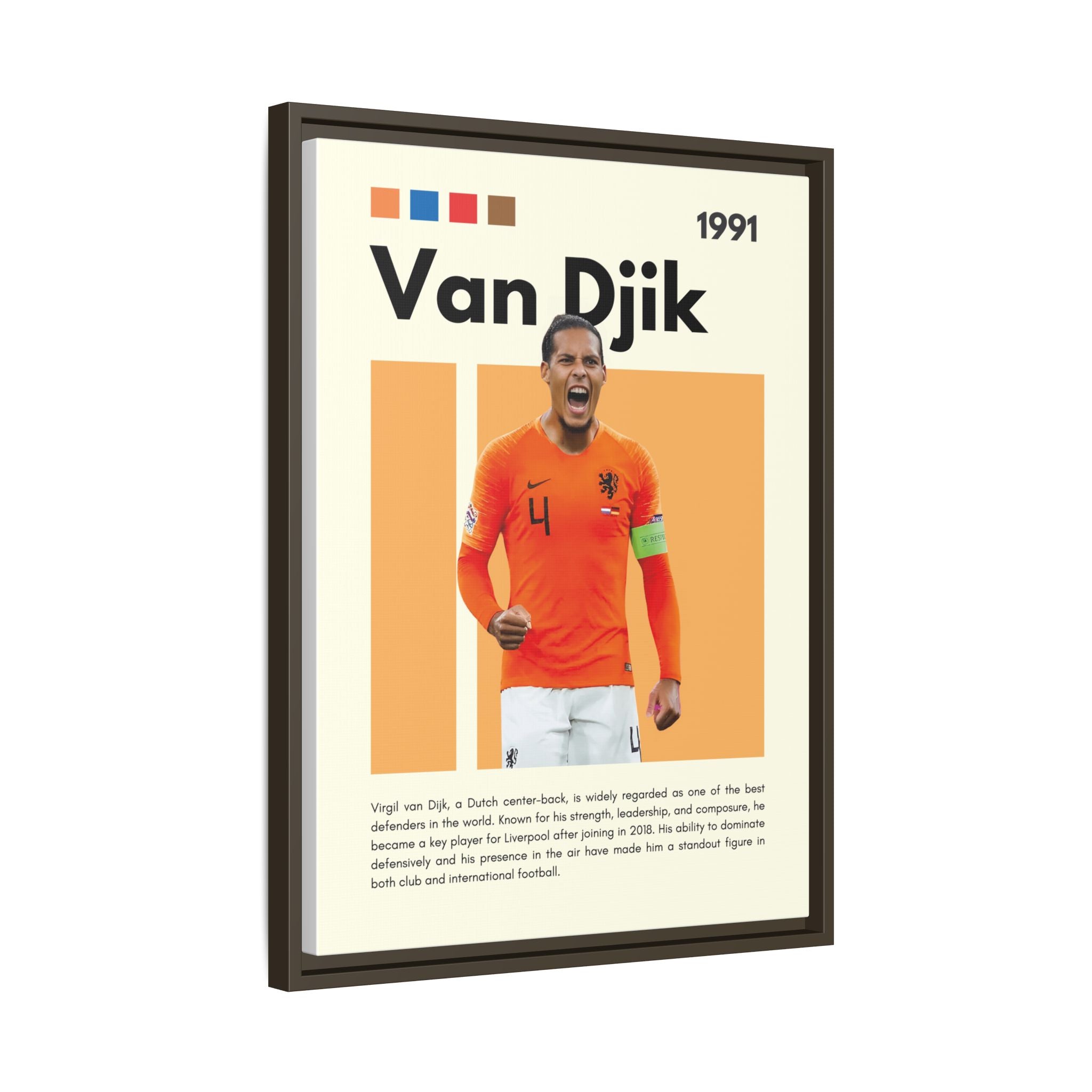 Defender of Orange - Canvas Wall Art
