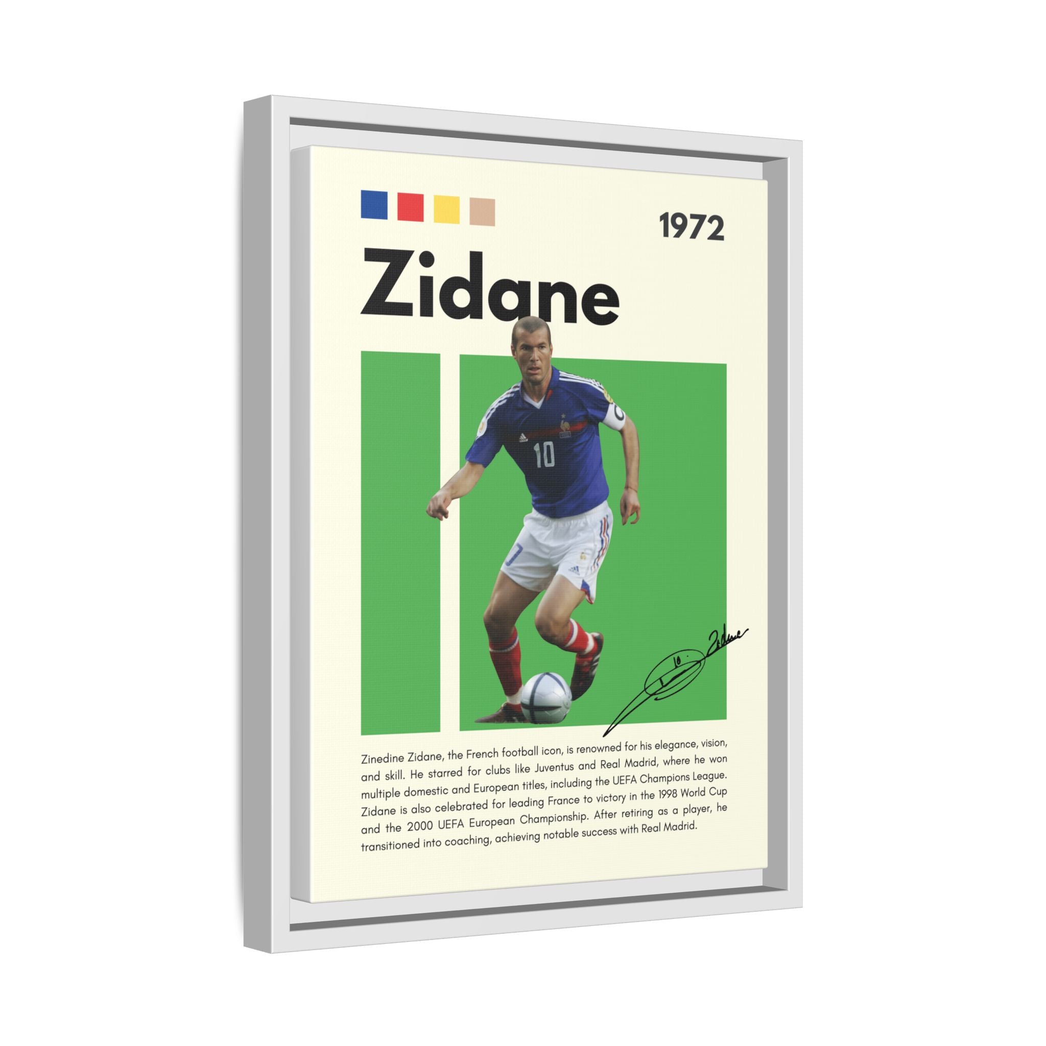 Zidane - Canvas Wall Art