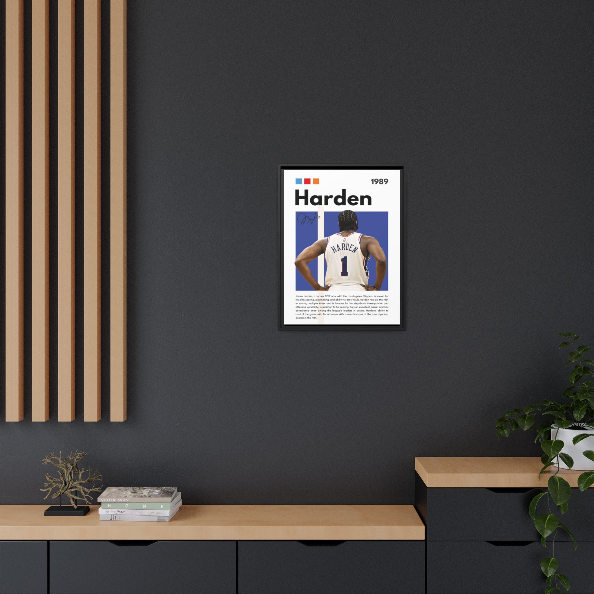 Harden's Stride - Canvas Wall Art