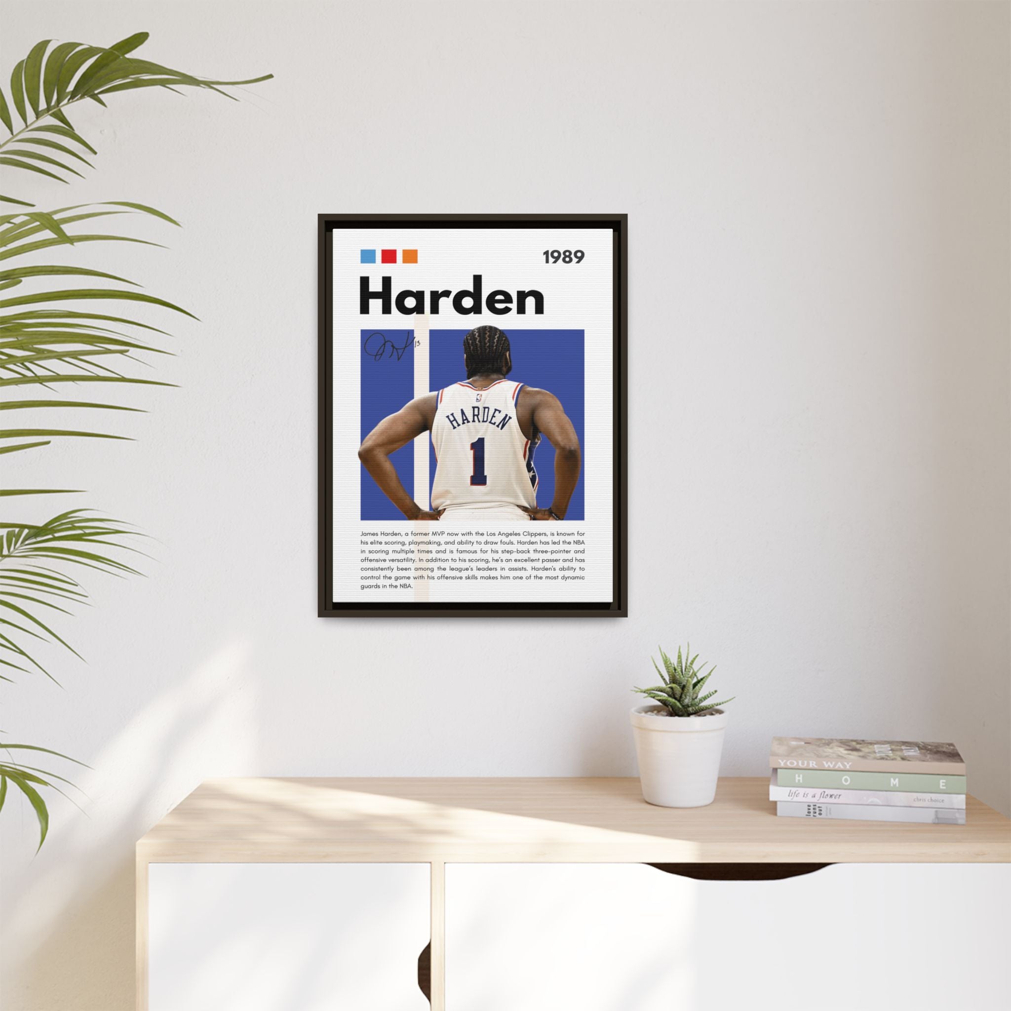 Harden's Stride - Canvas Wall Art
