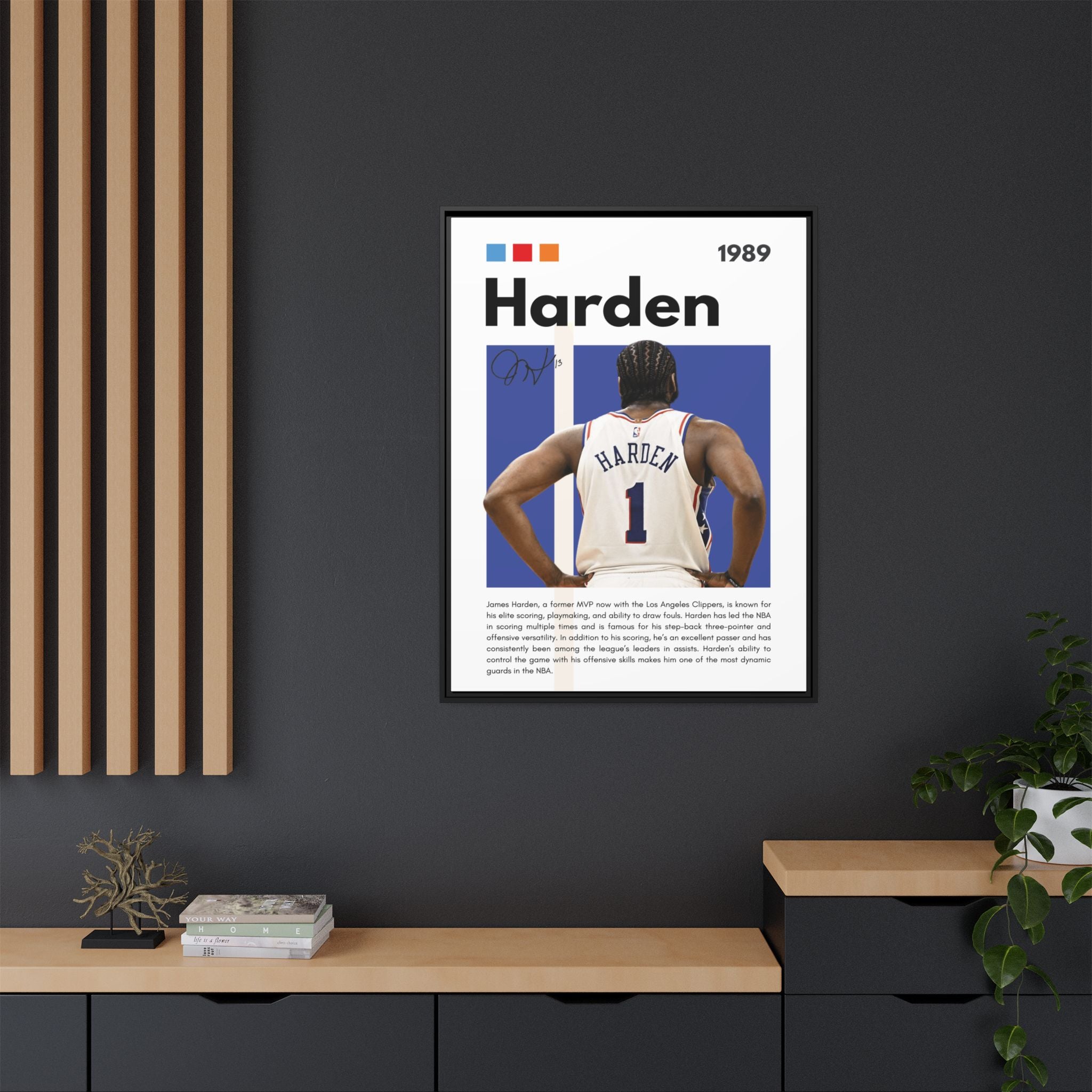 Harden's Stride - Canvas Wall Art