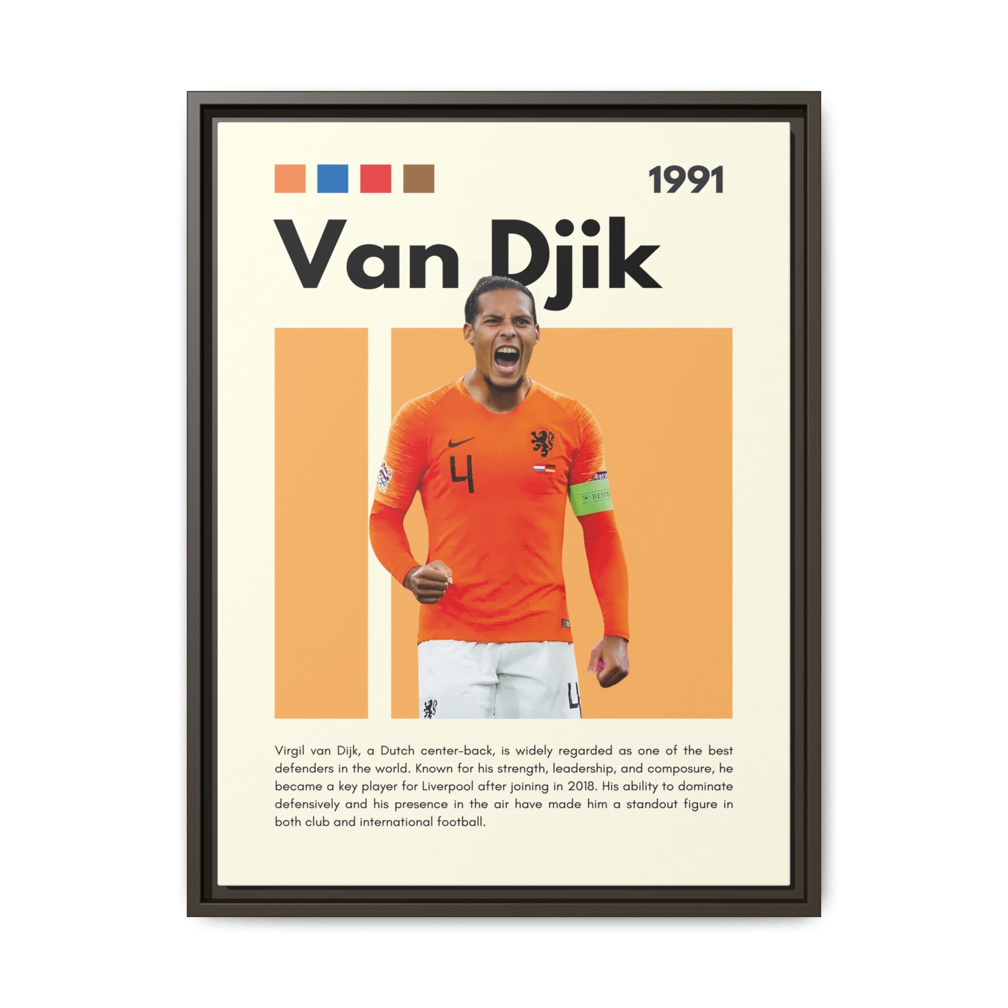 Defender of Orange - Canvas Wall Art