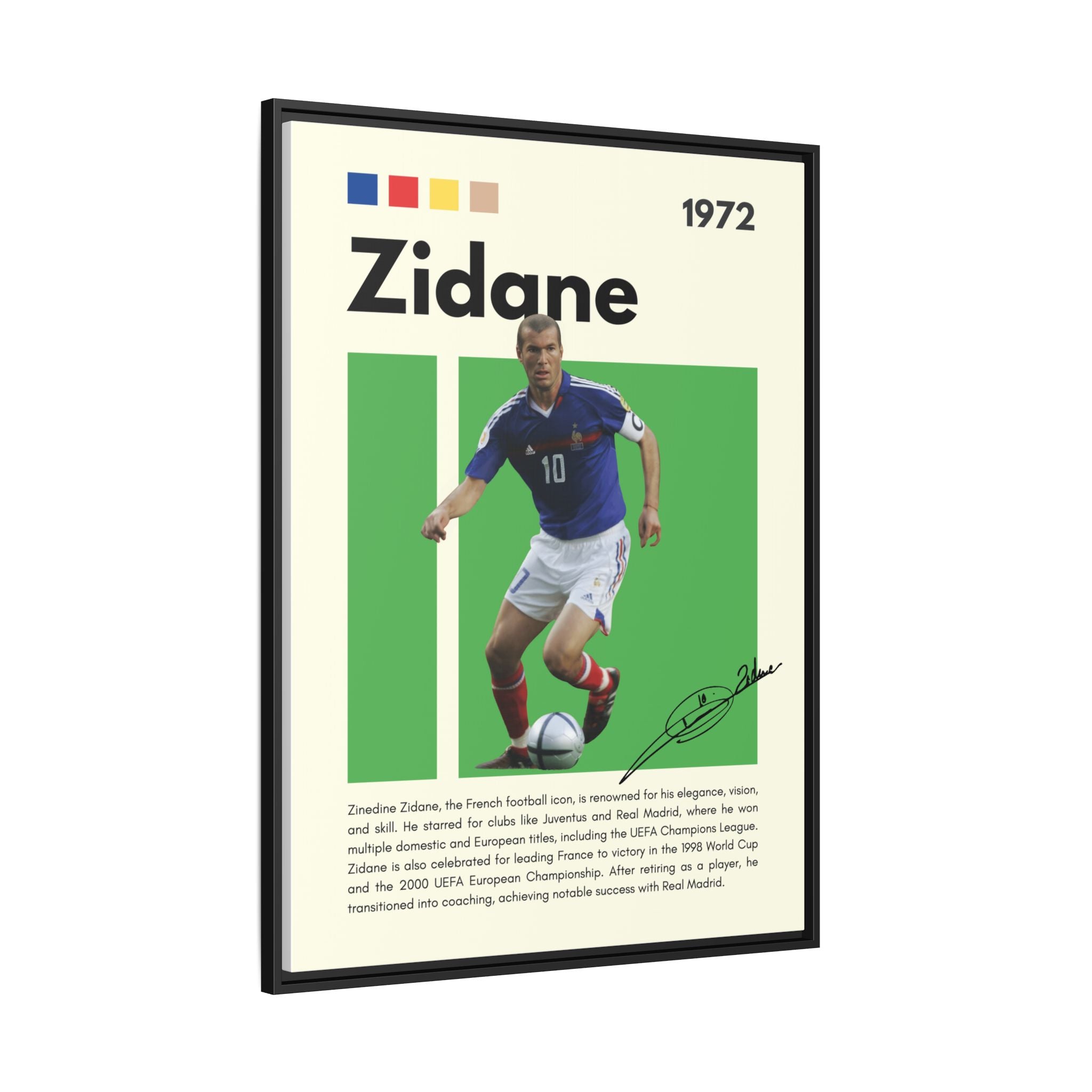 Zidane - Canvas Wall Art