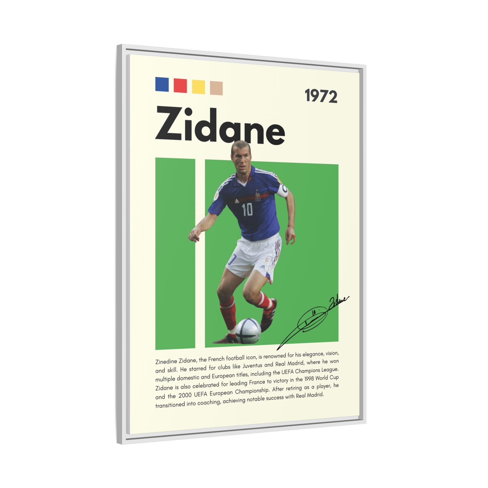 Zidane - Canvas Wall Art
