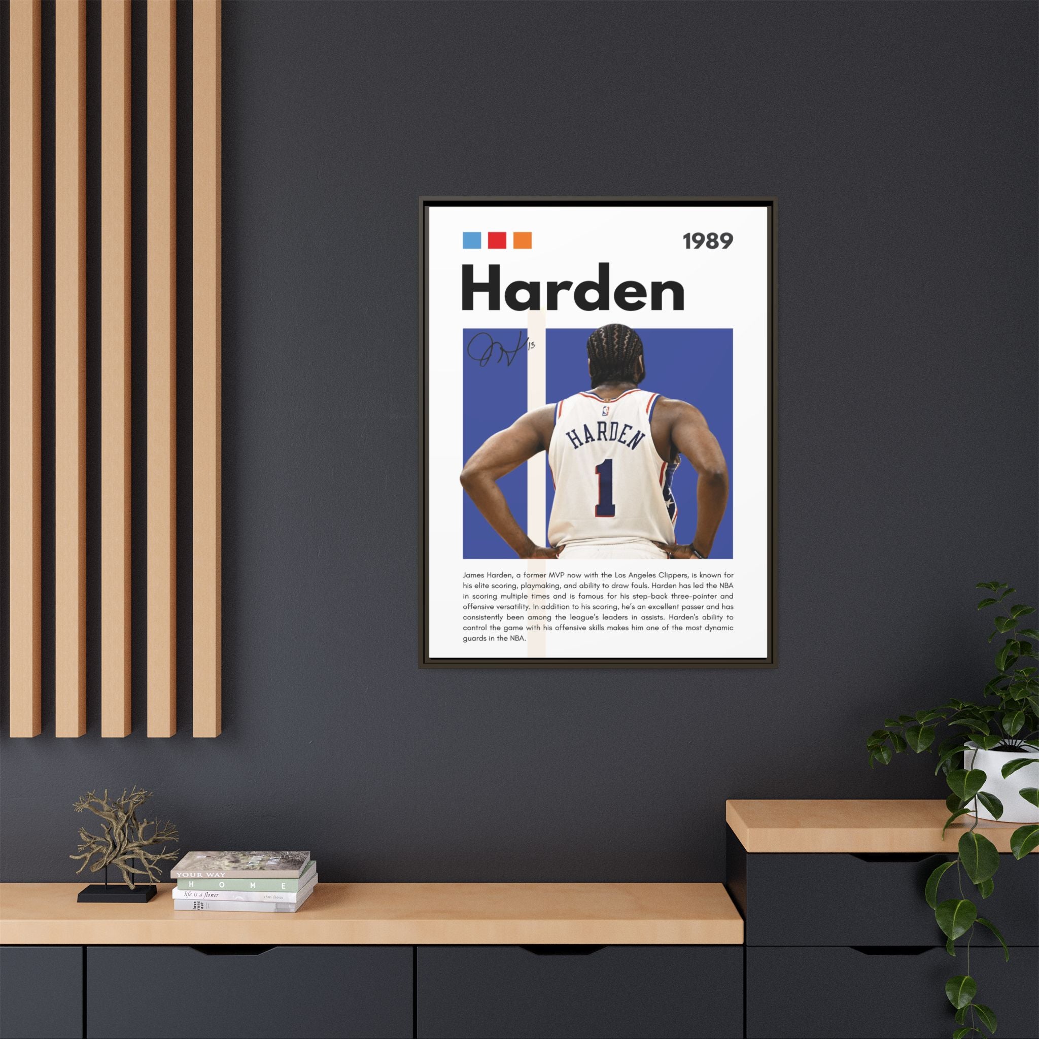 Harden's Stride - Canvas Wall Art
