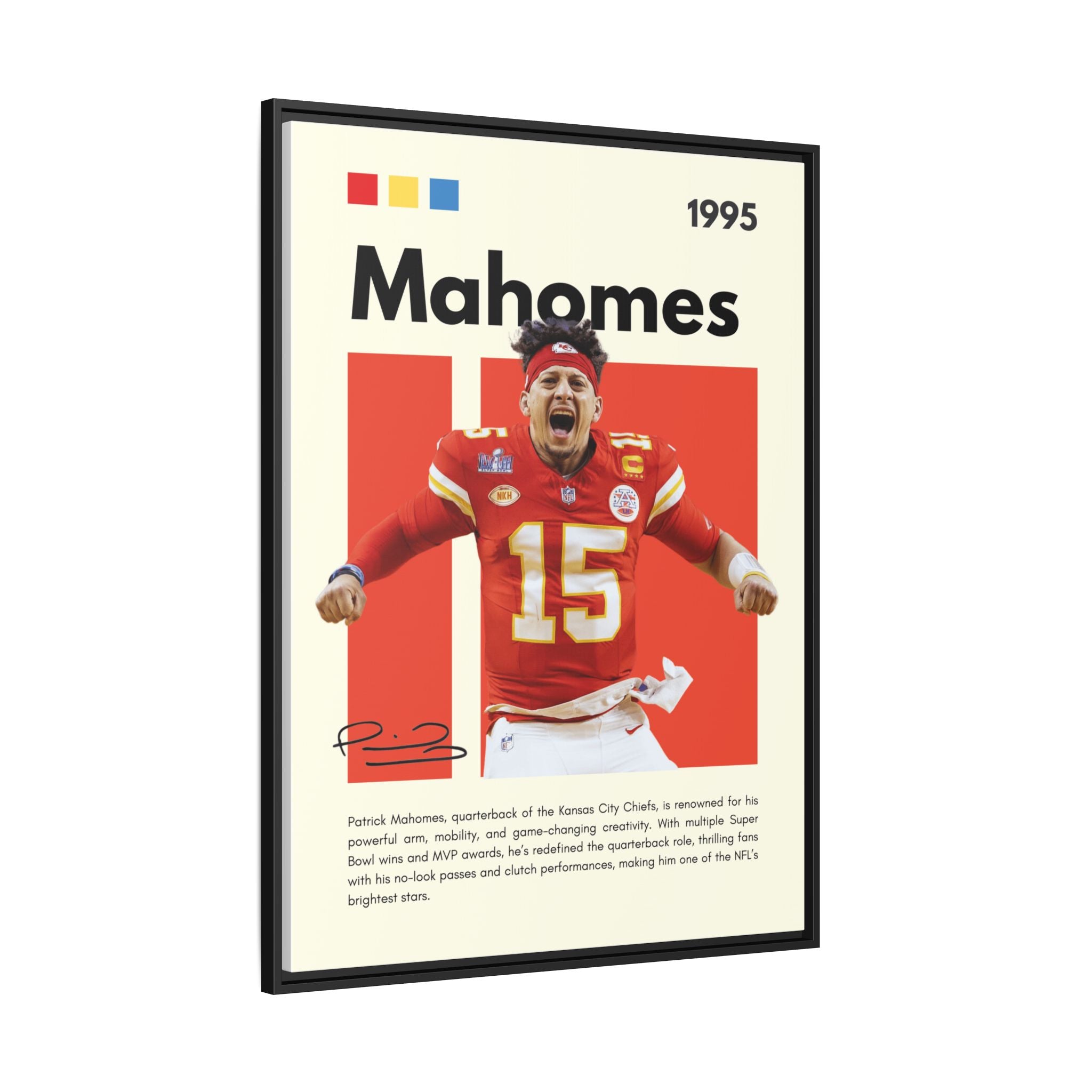 Touchdown Triumph - Canvas Wall Art