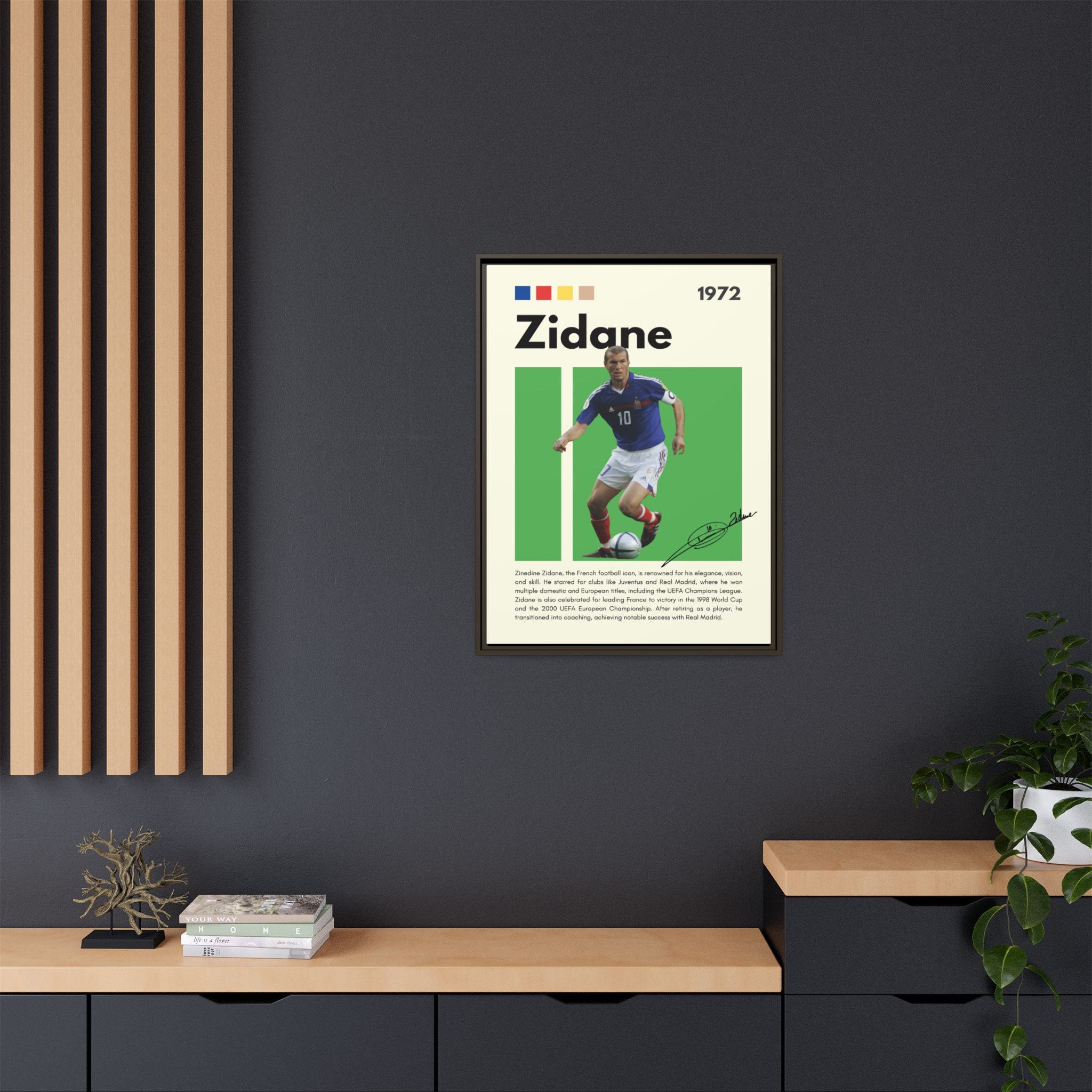 Zidane - Canvas Wall Art