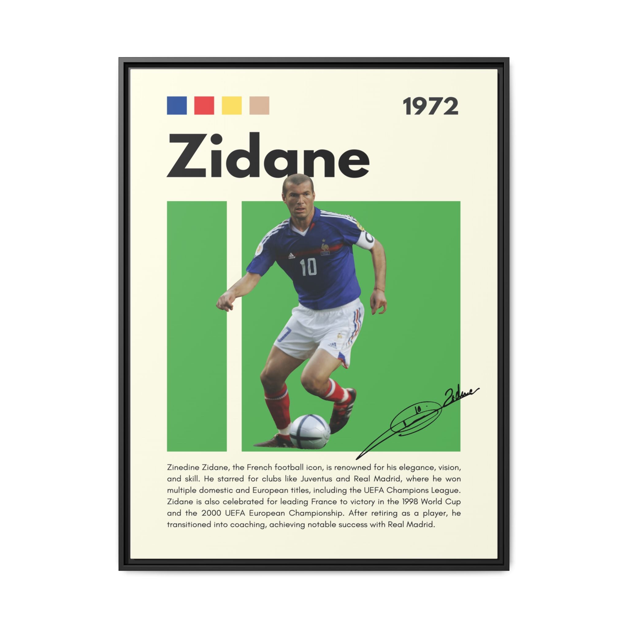 Zidane - Canvas Wall Art