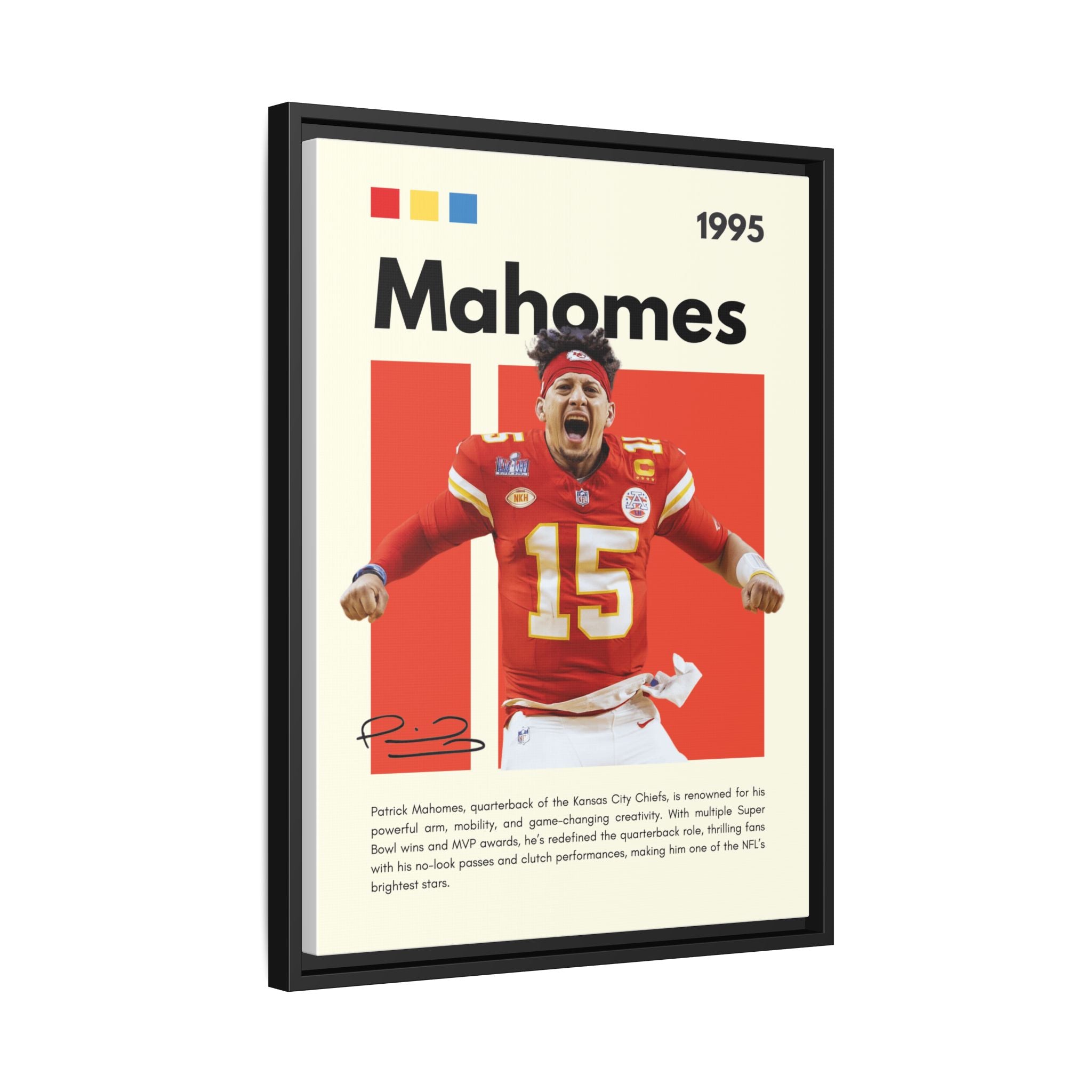 Touchdown Triumph - Canvas Wall Art