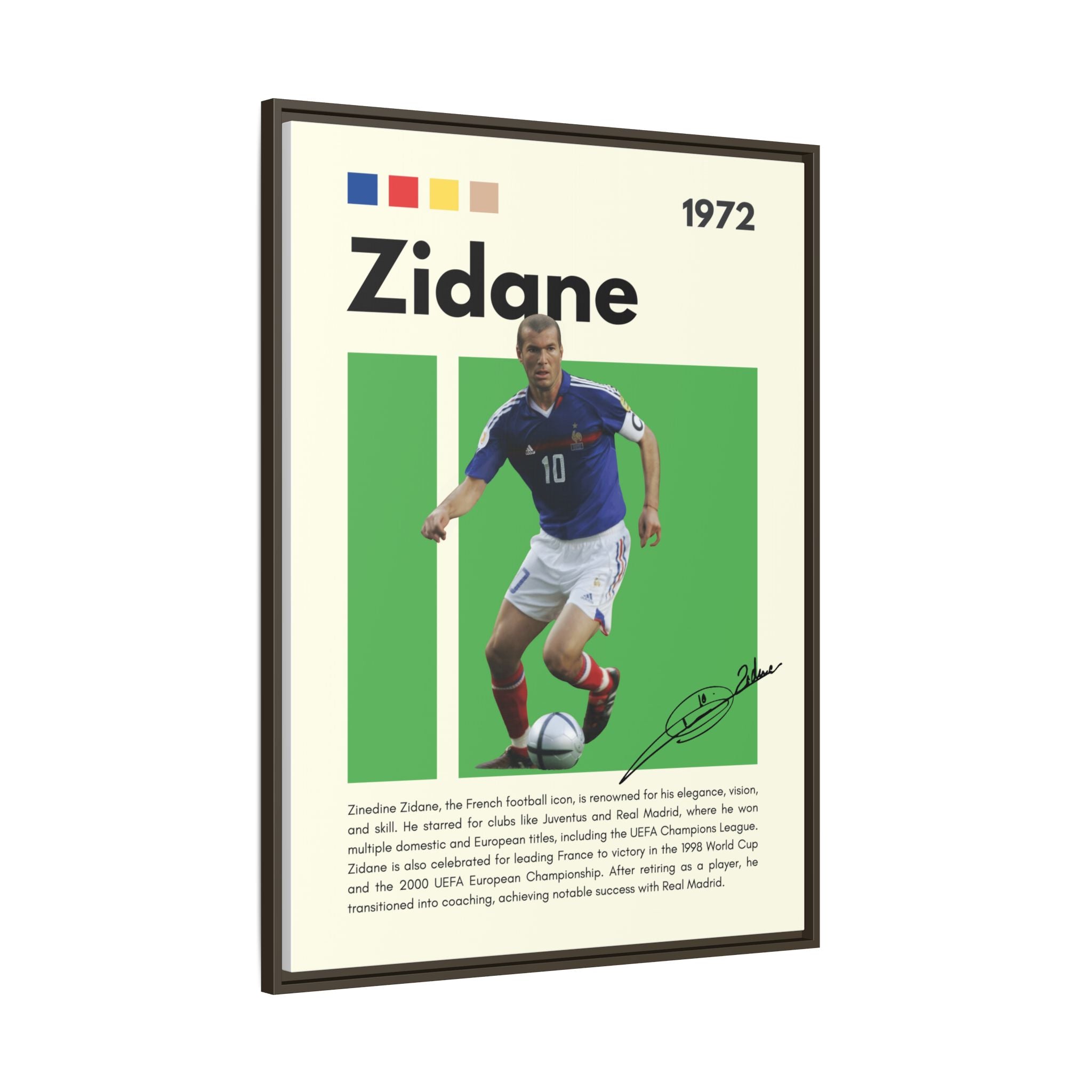 Zidane - Canvas Wall Art