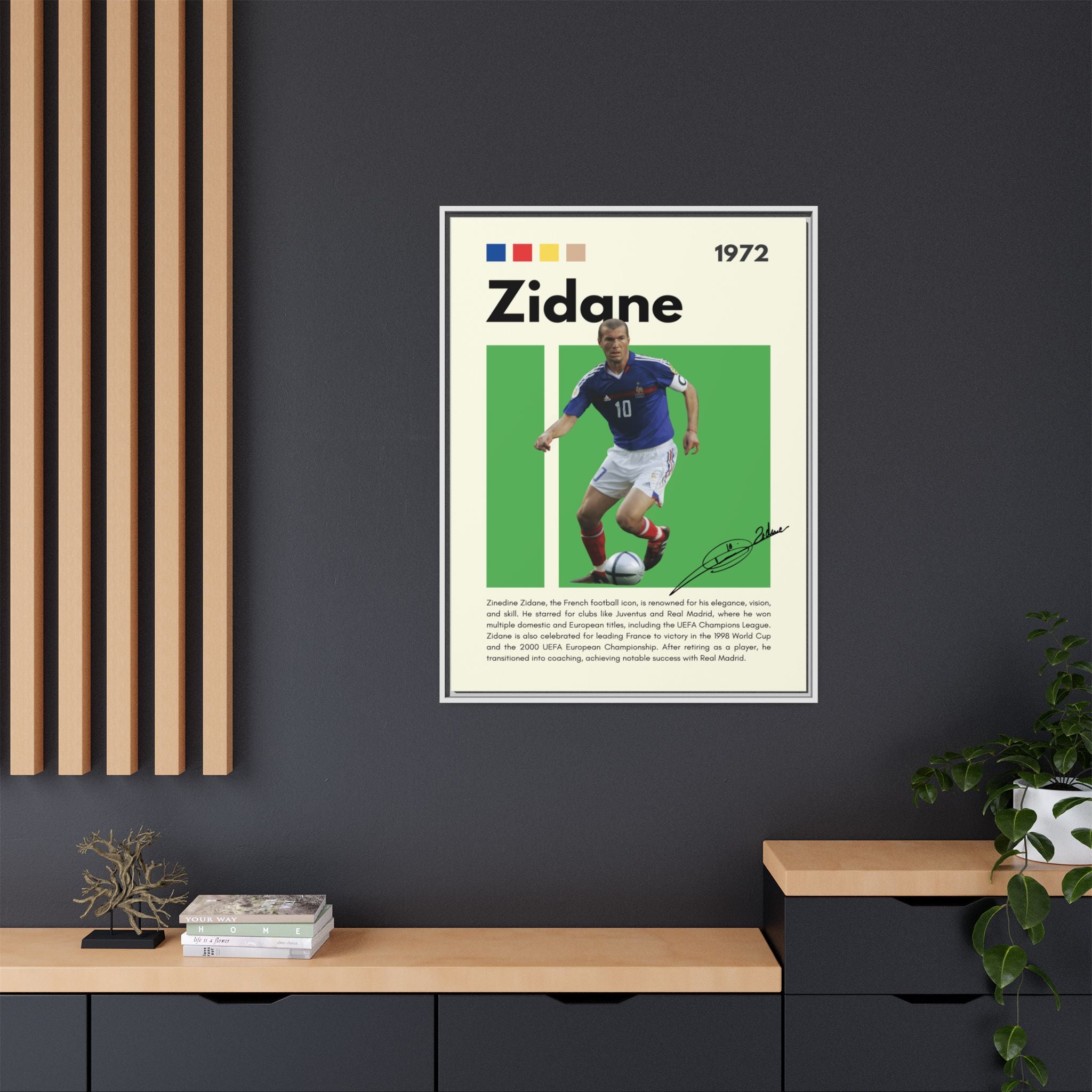 Zidane - Canvas Wall Art