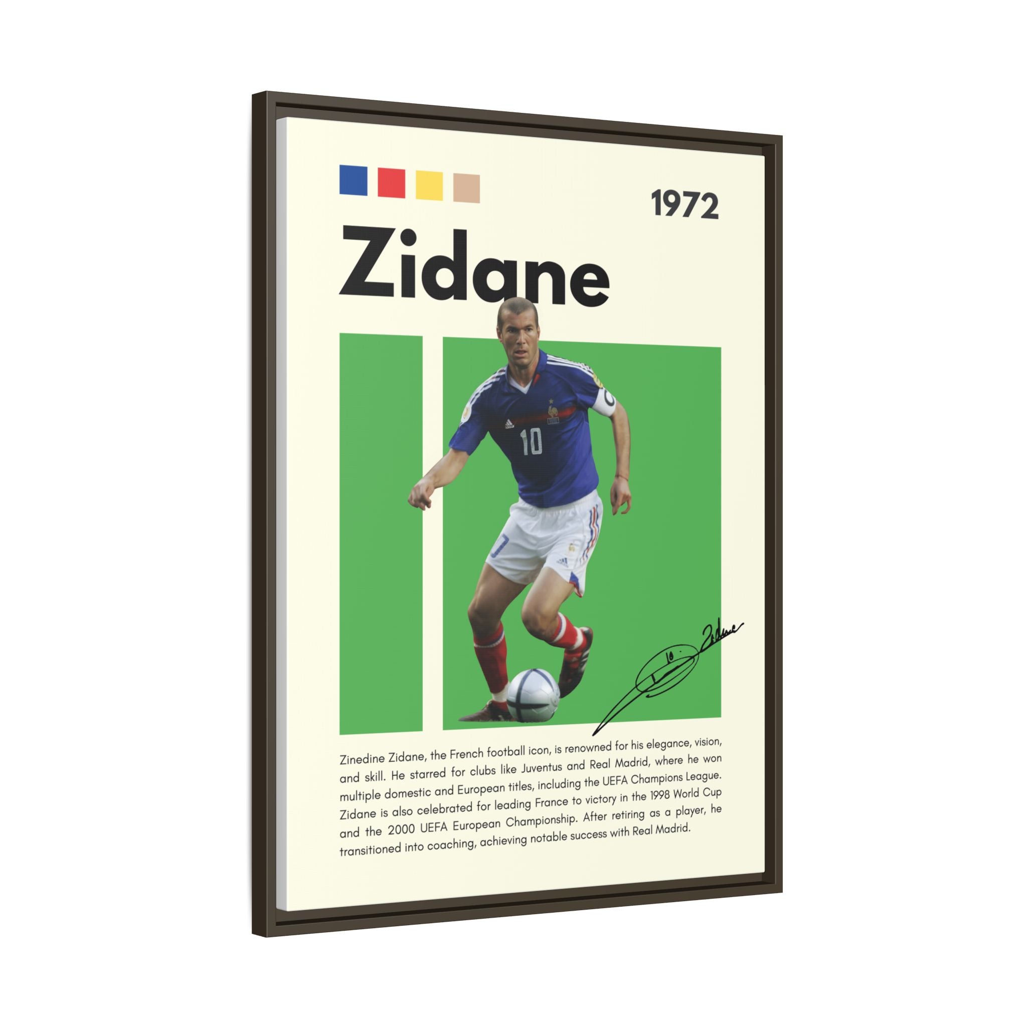 Zidane - Canvas Wall Art