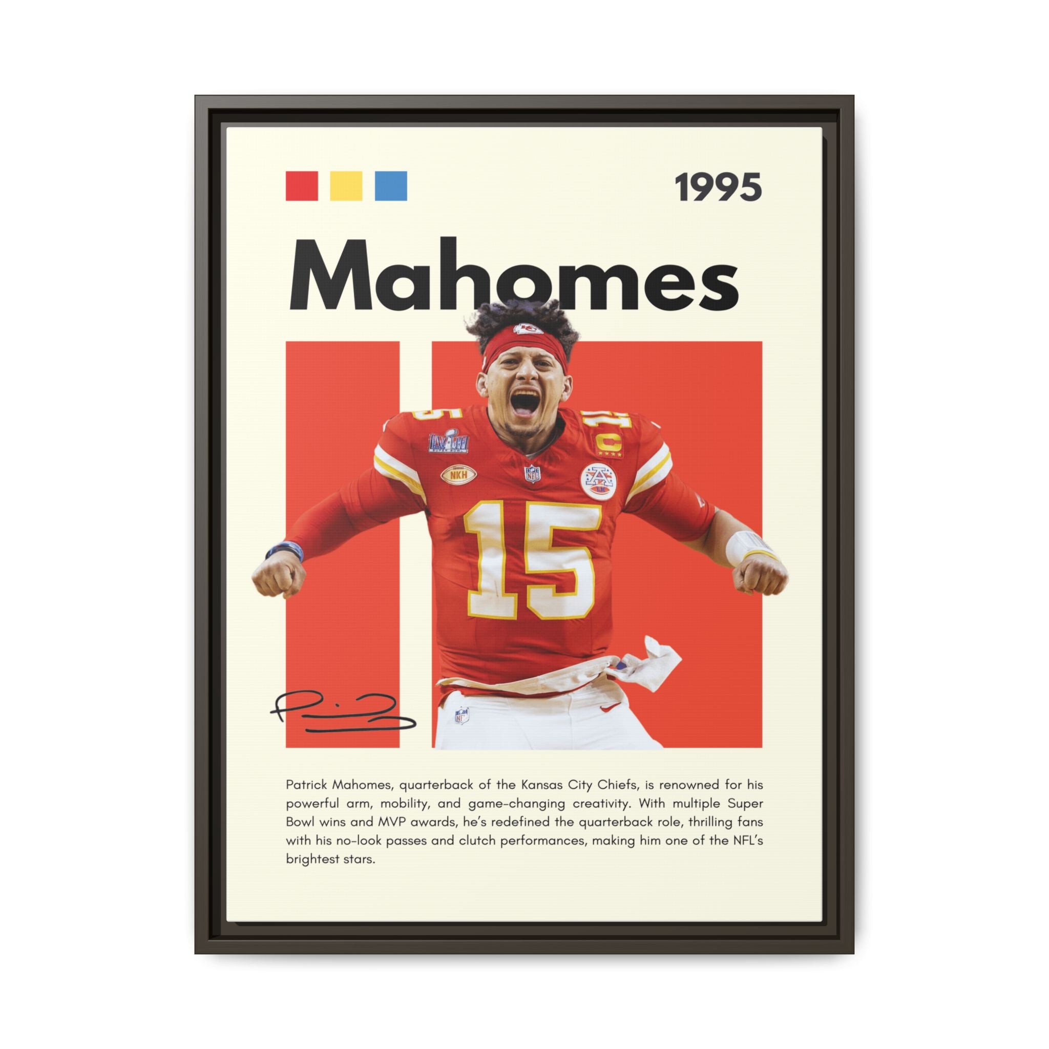 Touchdown Triumph - Canvas Wall Art
