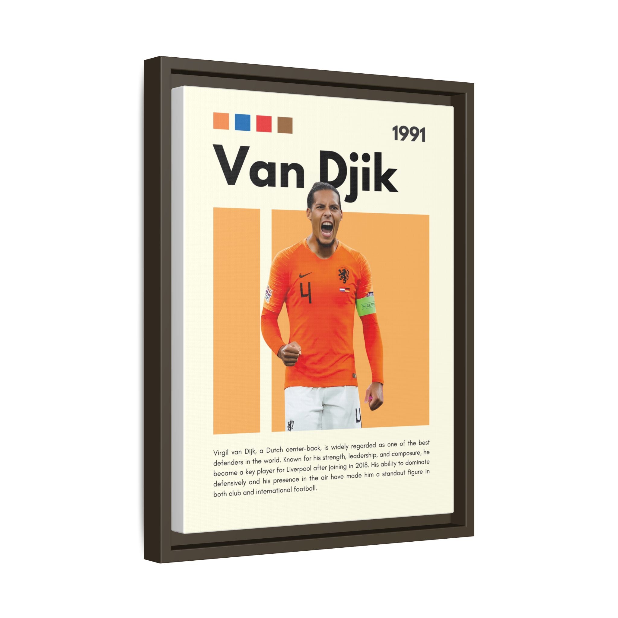 Defender of Orange - Canvas Wall Art