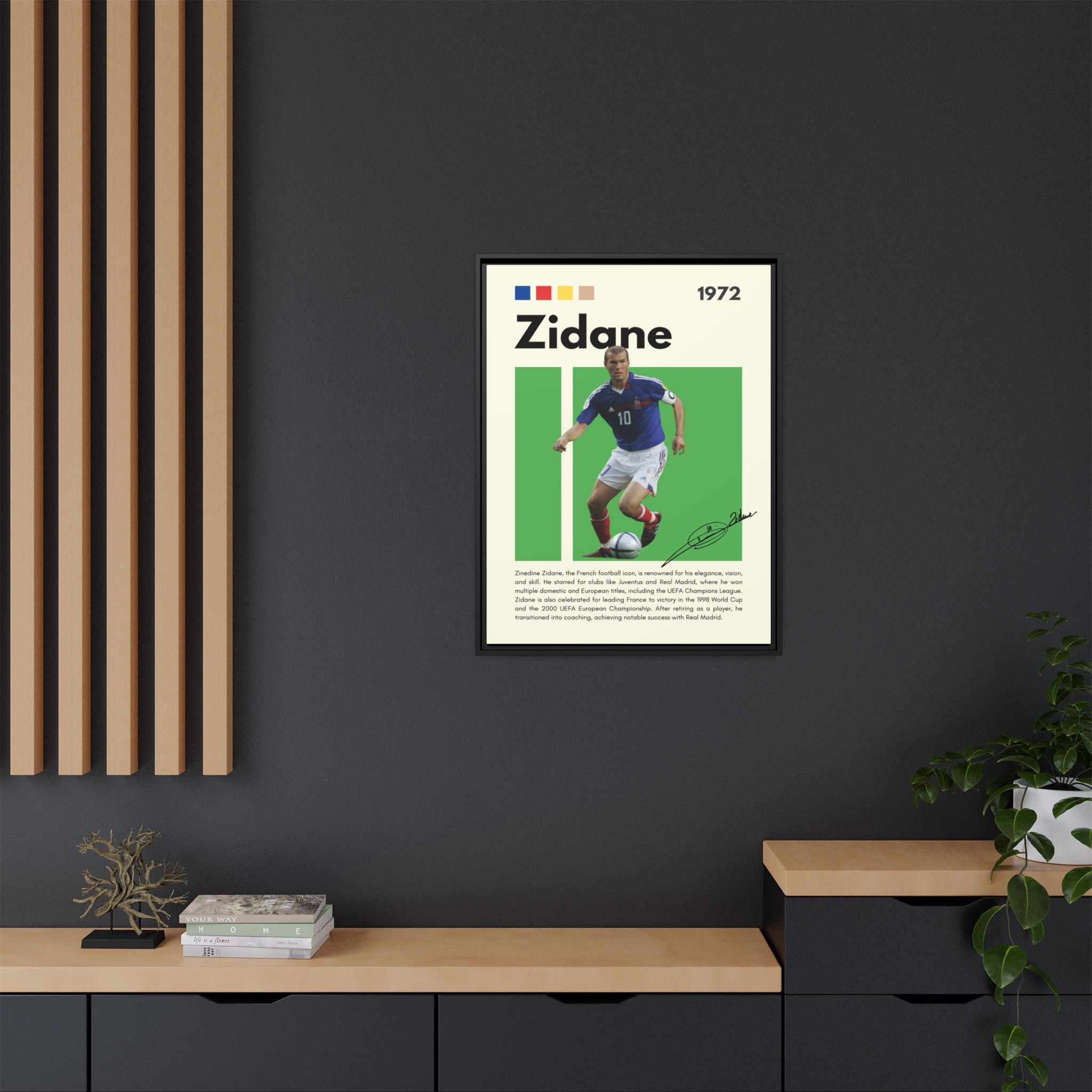 Zidane - Canvas Wall Art