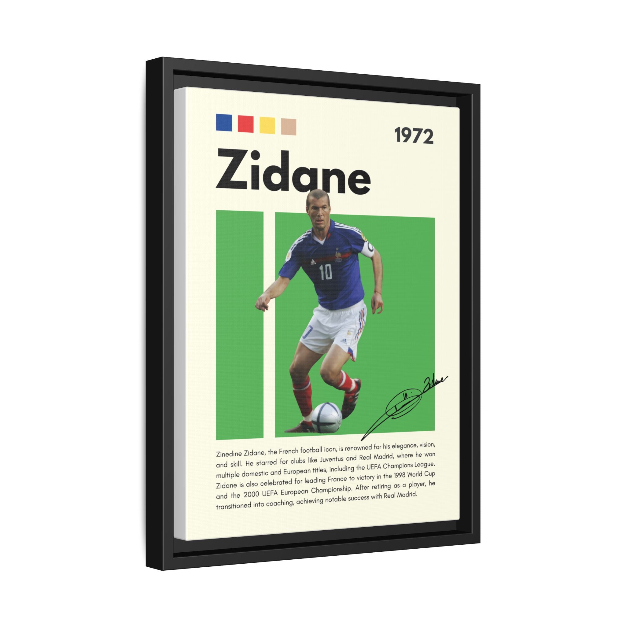 Zidane - Canvas Wall Art